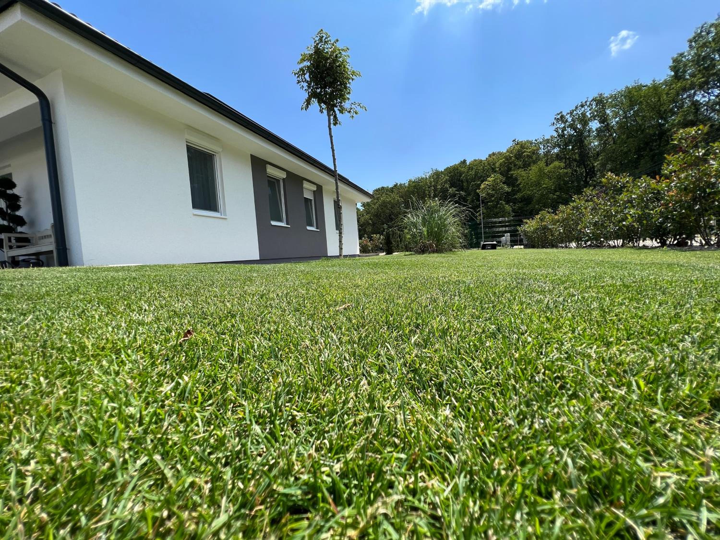 Jázmin Apartman