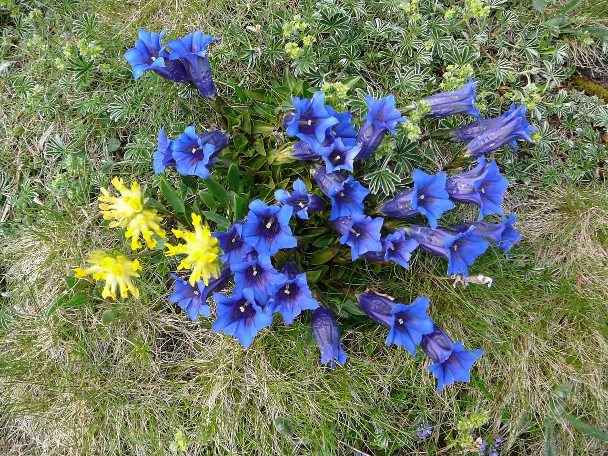 Photo 44