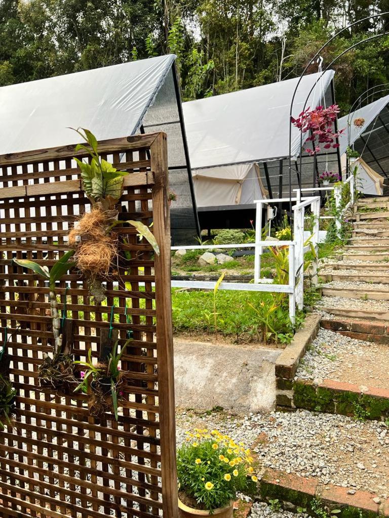 The Backyard Glamping Cameron Highlands