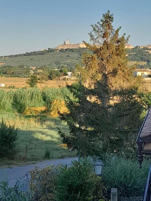 2 La fisarmonica del Conero view 5