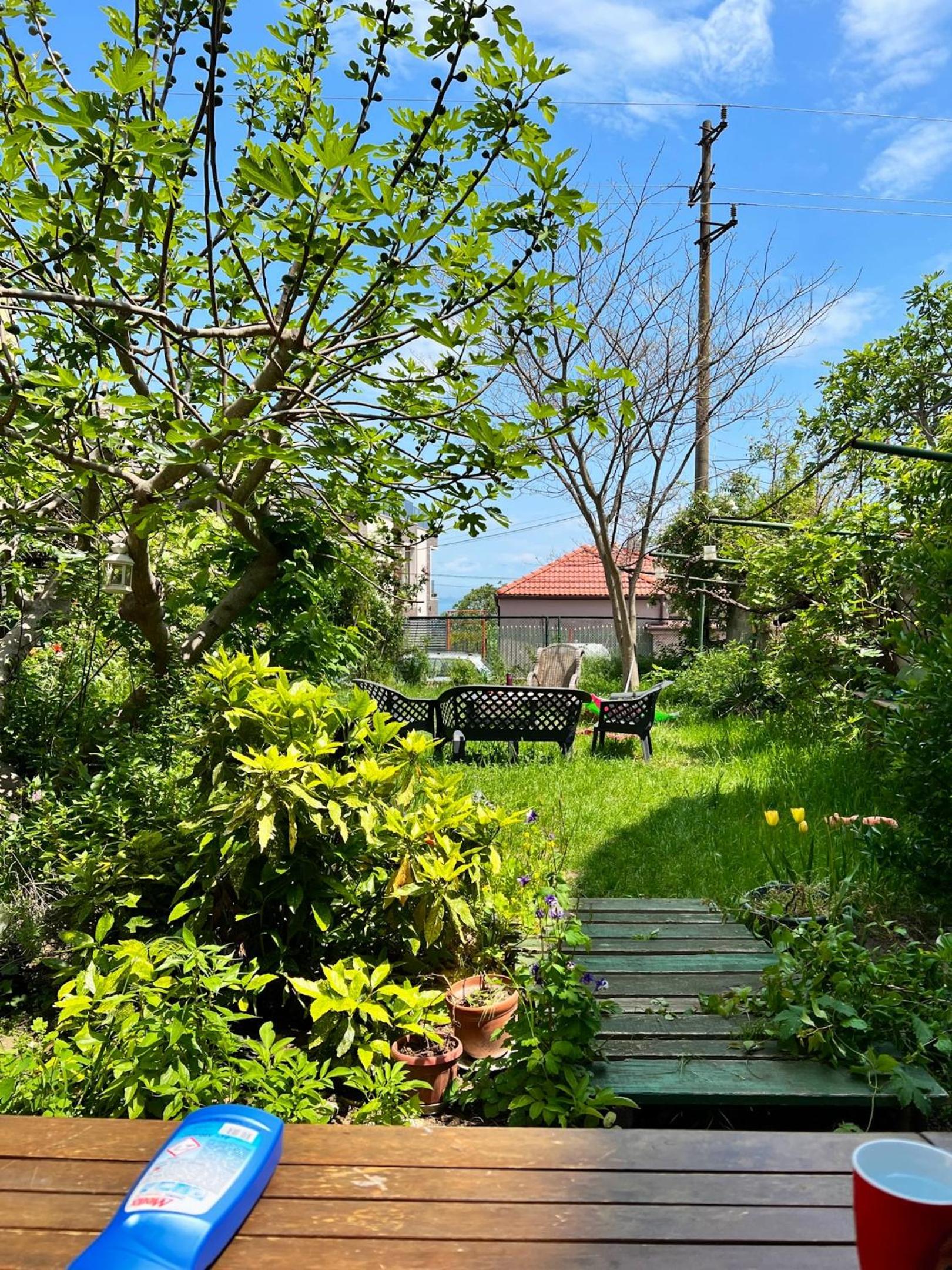 Welcoming house in Varna with sea view