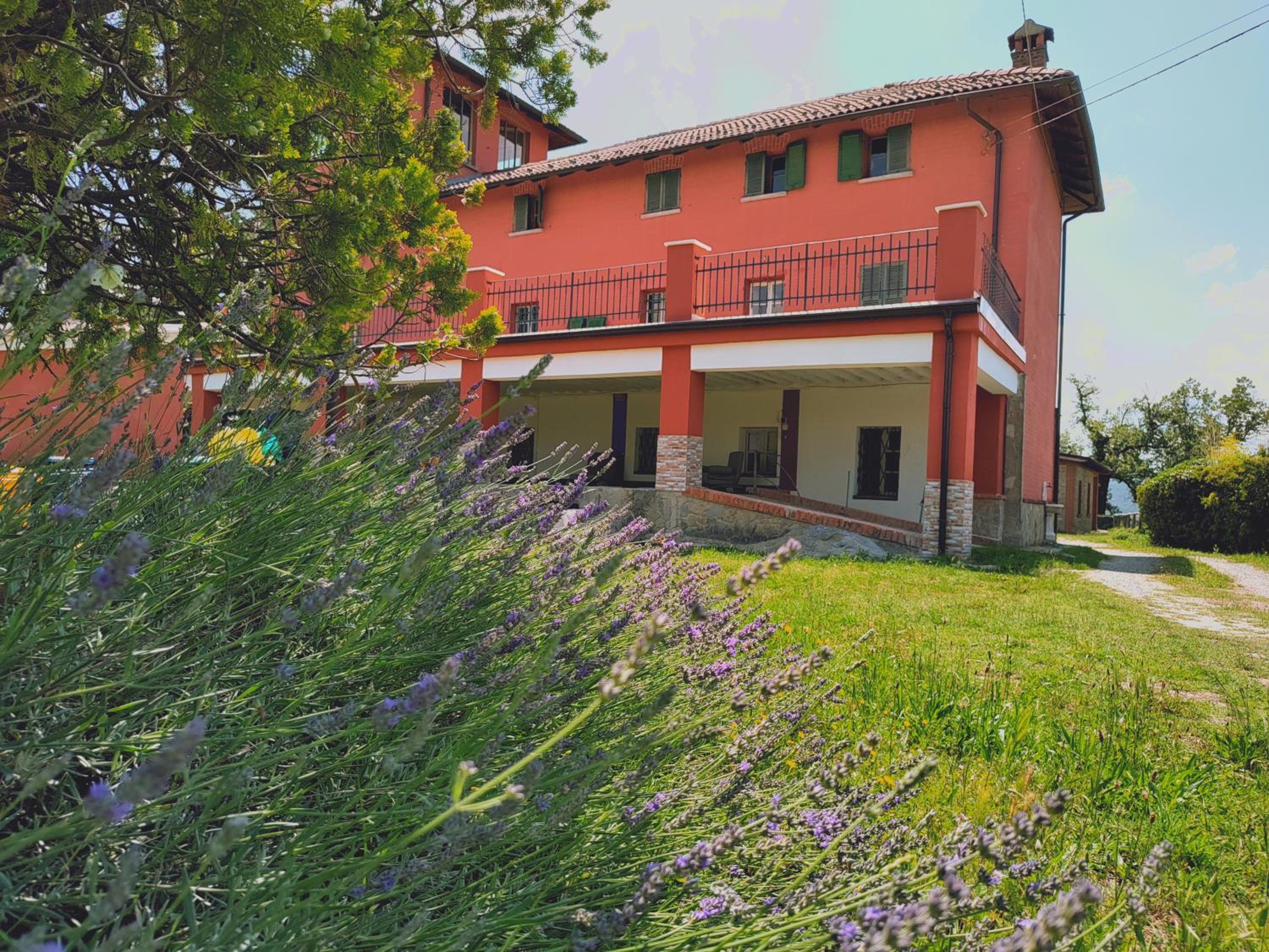 Photo 15
