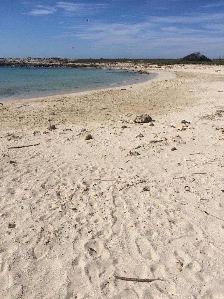 villa Vasagè photo 4