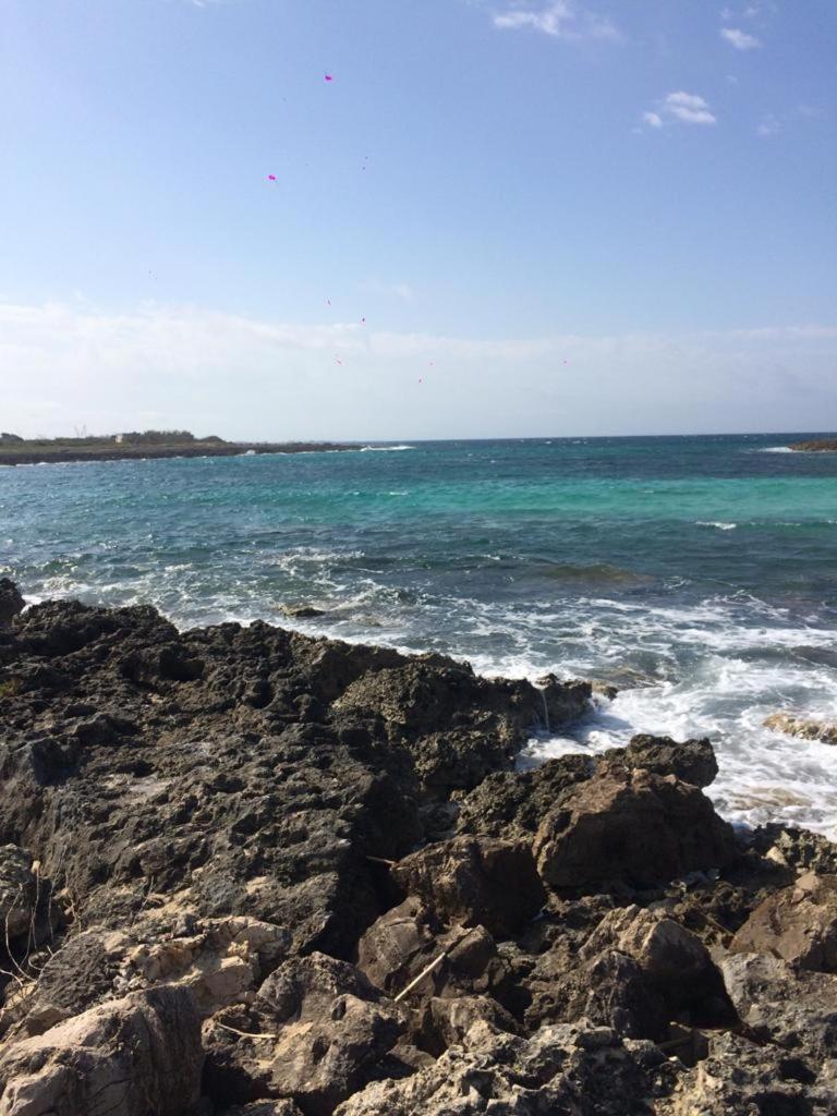 villa Vasagè photo 3