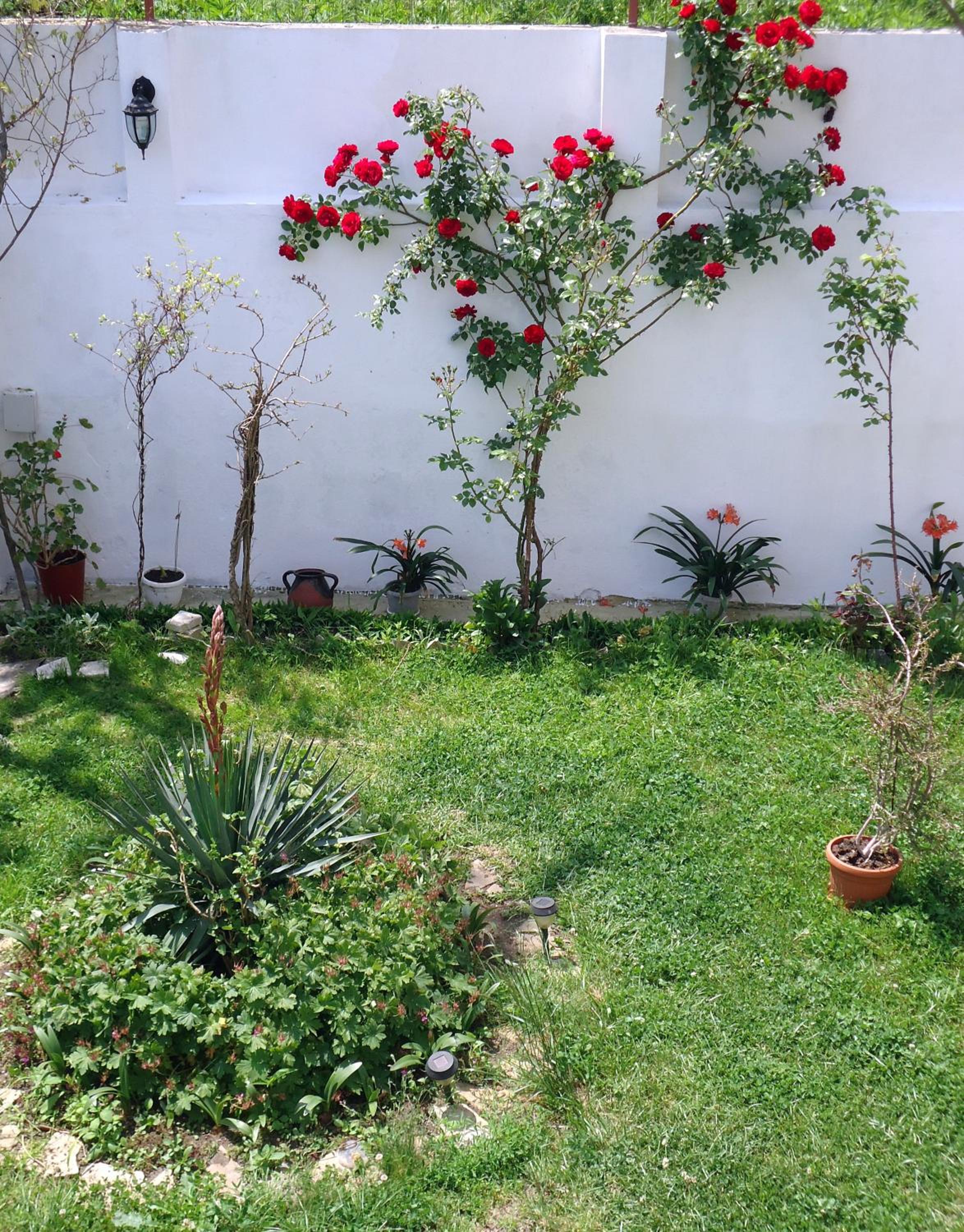 Petrovi Guest House