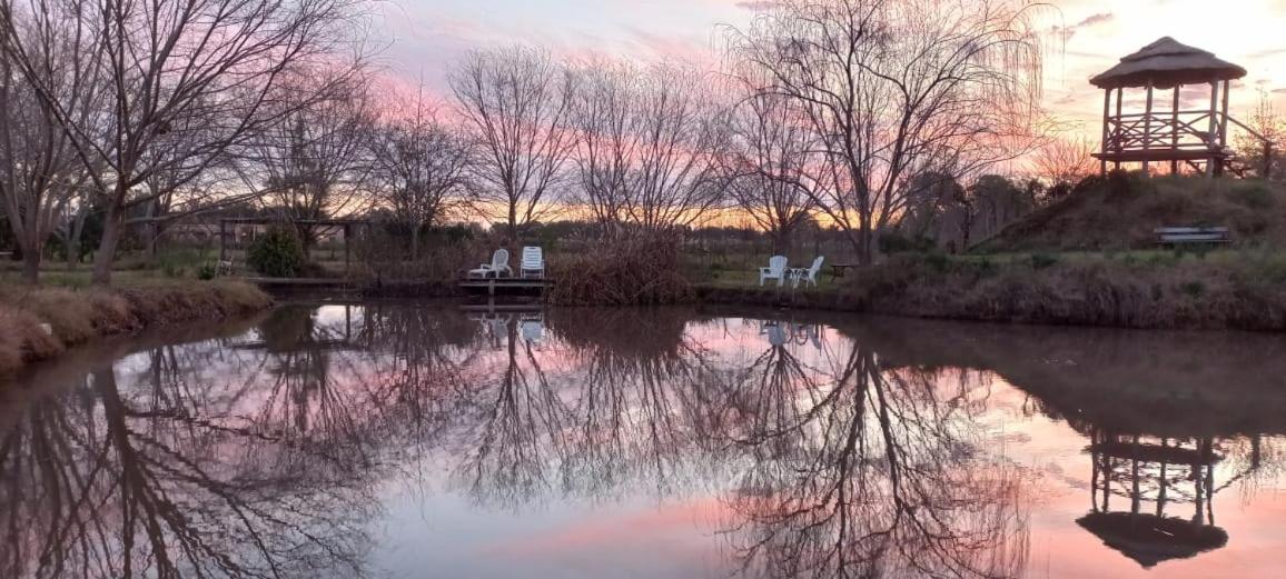 Los furgones de Areco