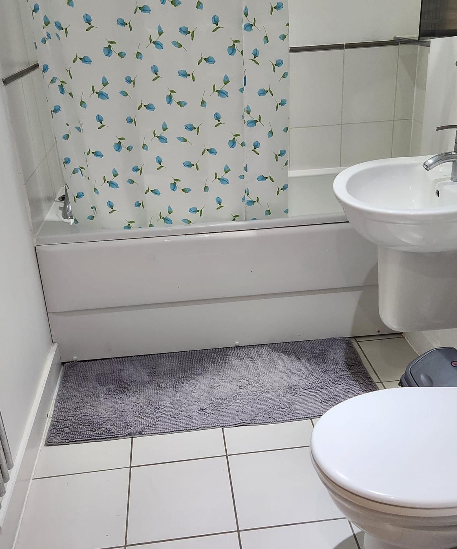 Luxury 2 Bed Apartment EXCEL London