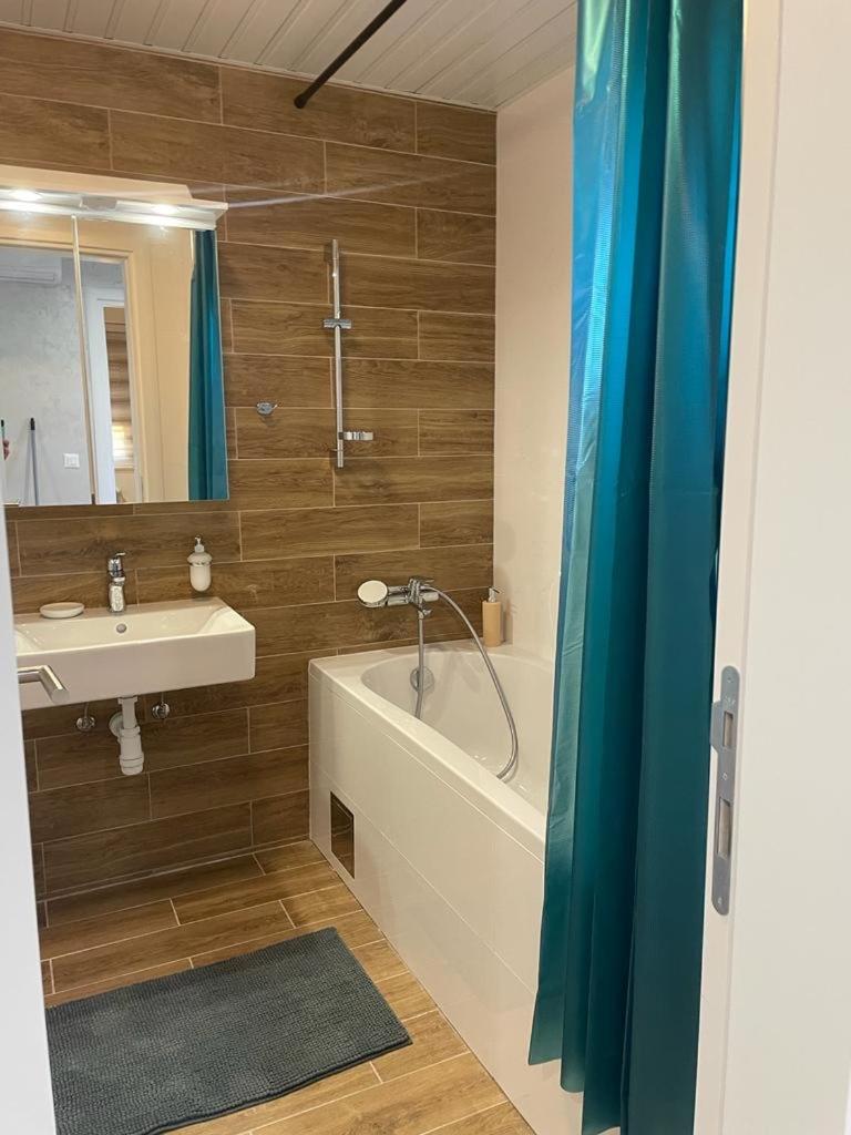 luxury Pool Apartment Jagodina
