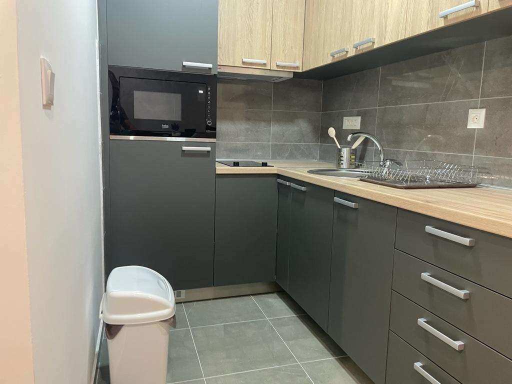 luxury Pool Apartment Jagodina