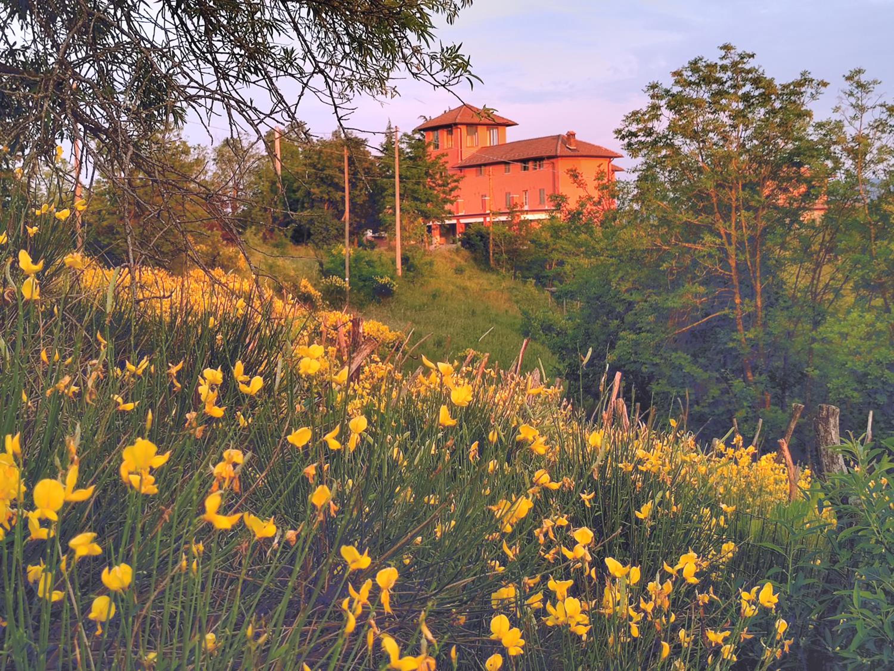 La Fabbrica in collina view 4