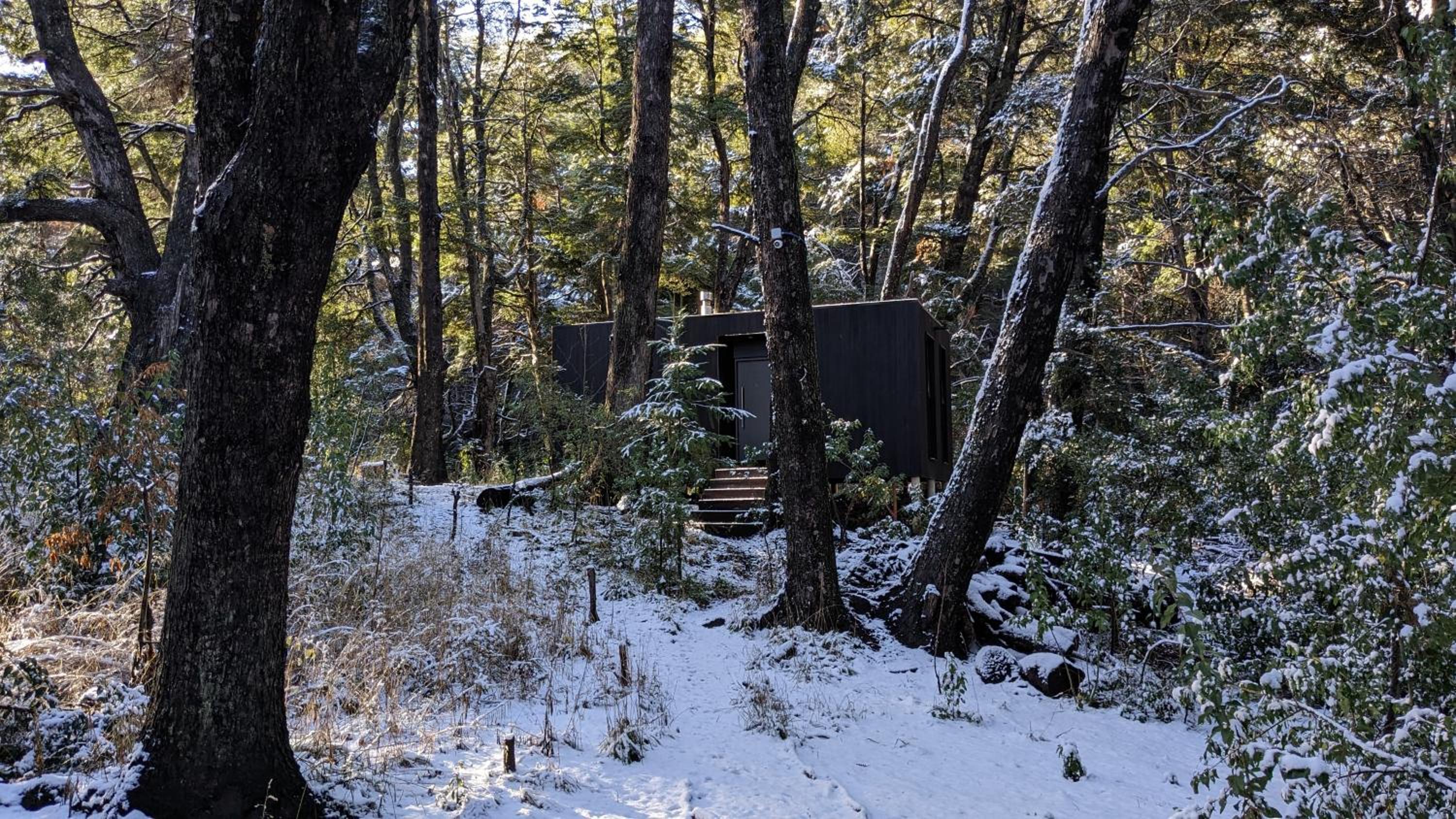 El Bosque