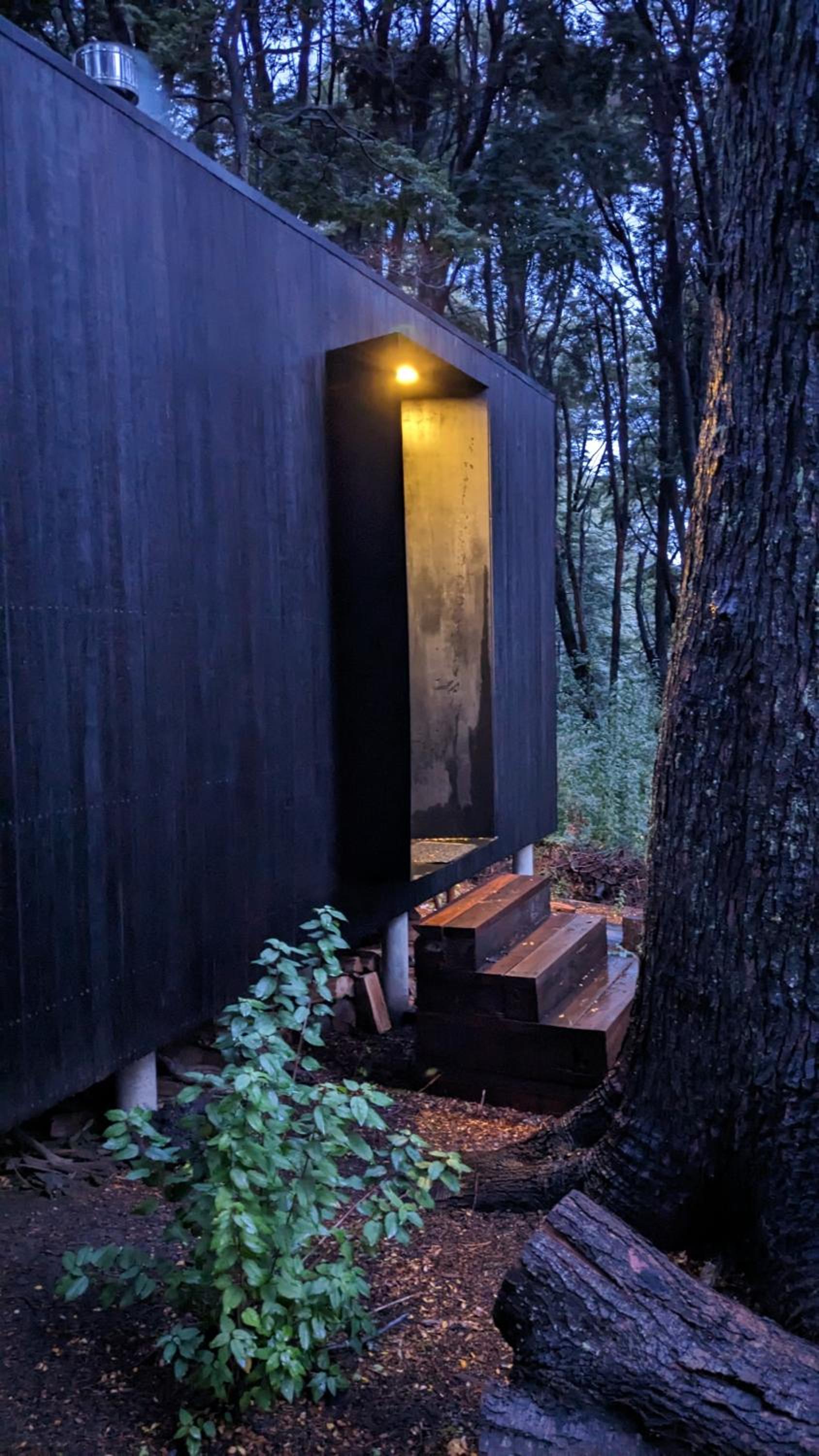 El Bosque