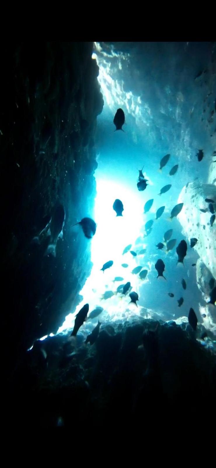 Photo 36