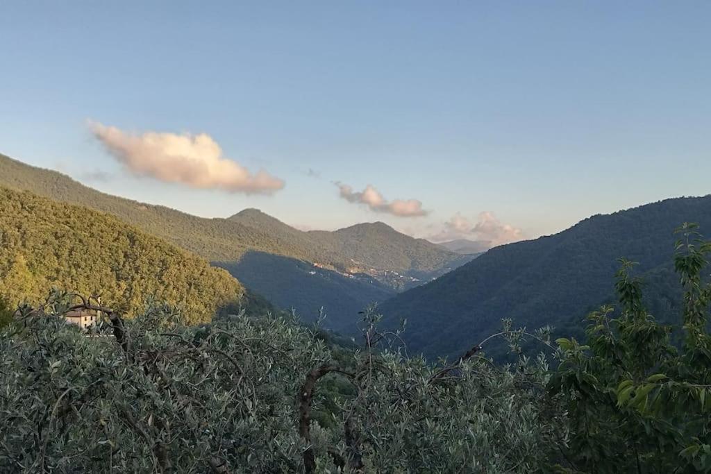 Da Lilli - un angolo di paradiso nel verde view 4