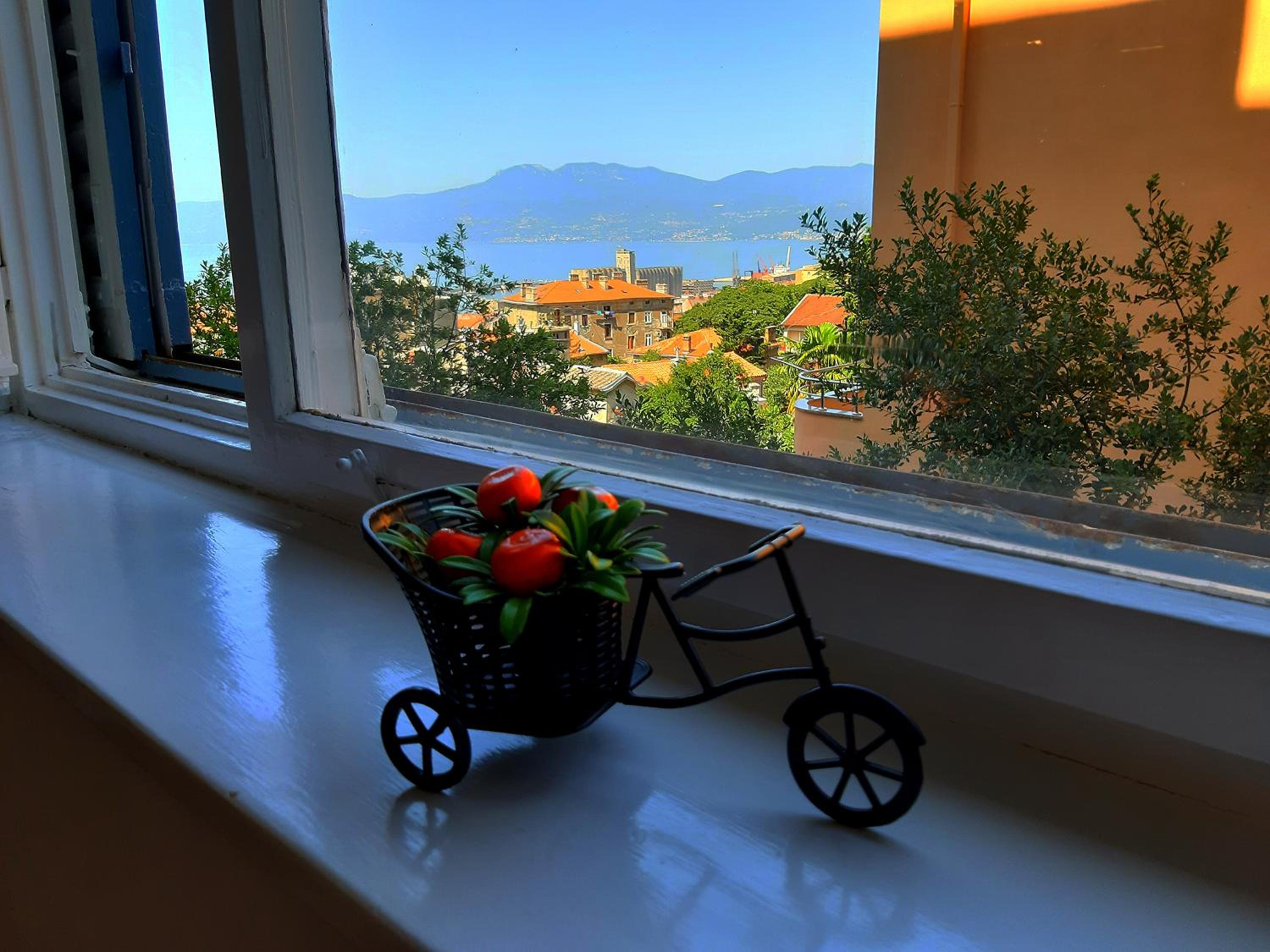 Amarena Apartment