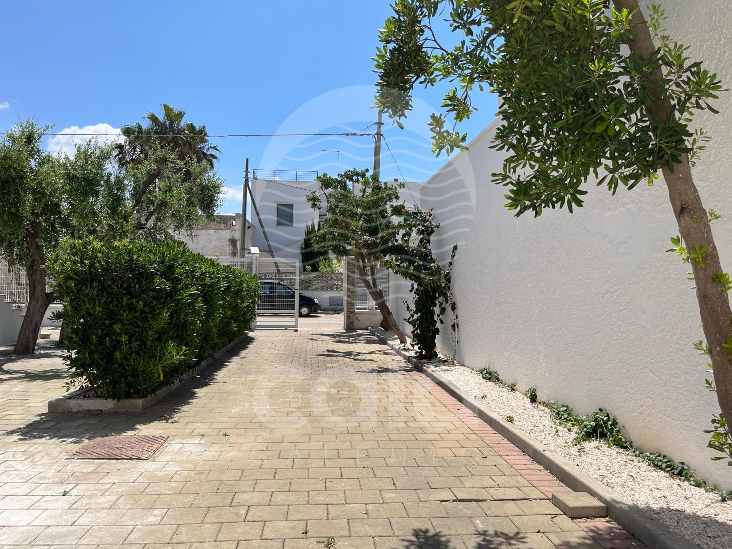 Photo 43