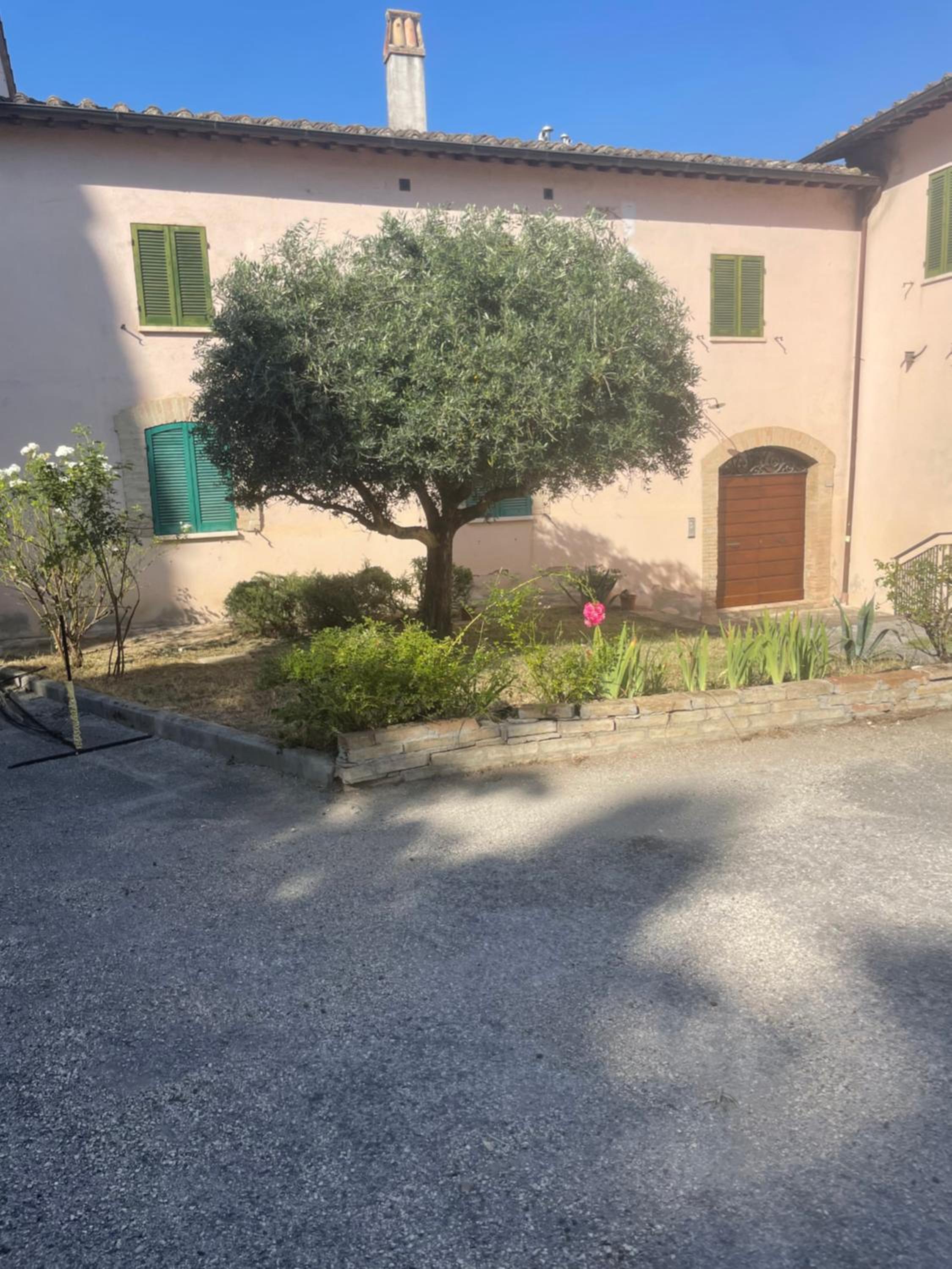 LA CASA TRA GLI ULIVI