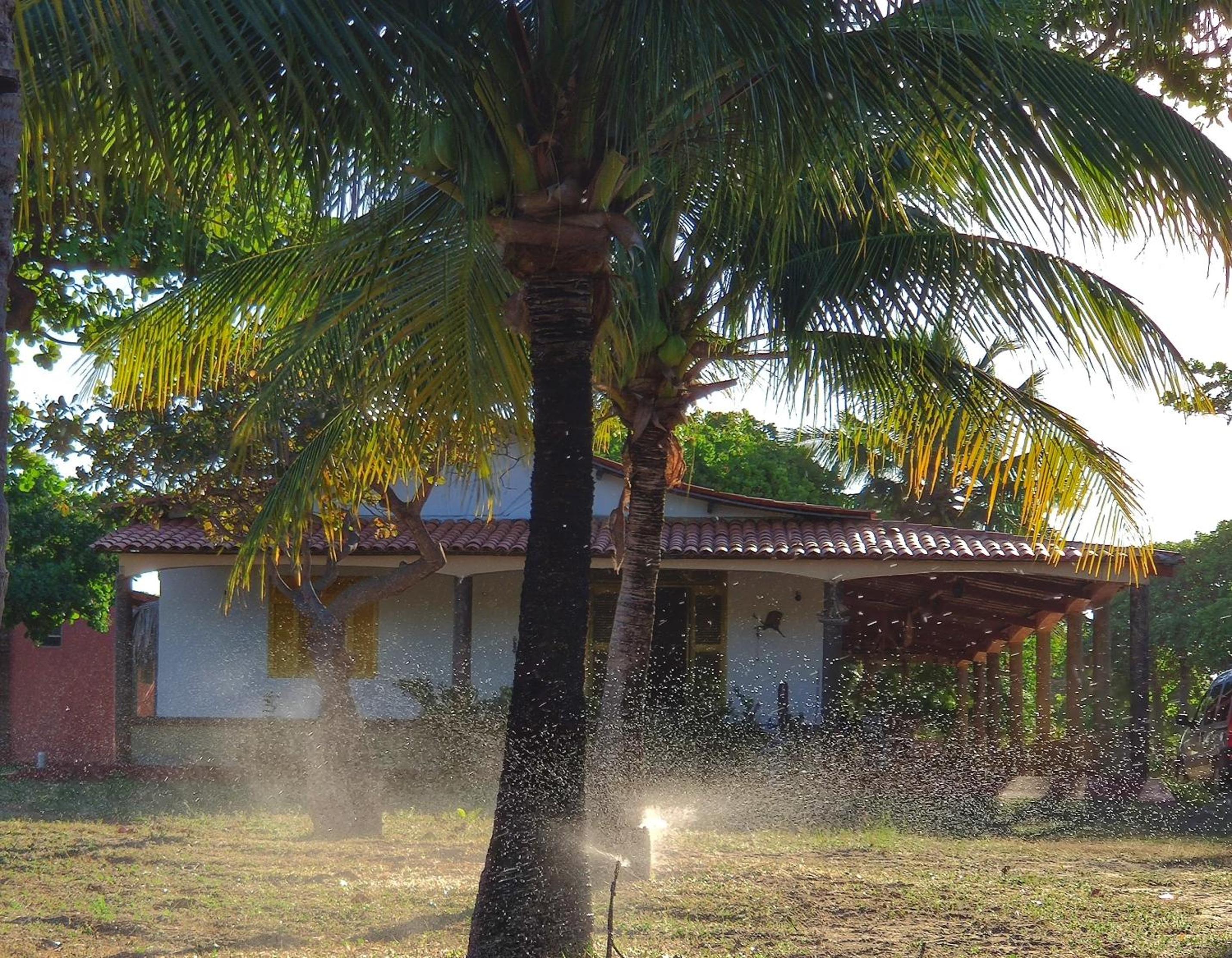Sítio SPA Céu De Verdade , Praia de Barra Nova , Ceará