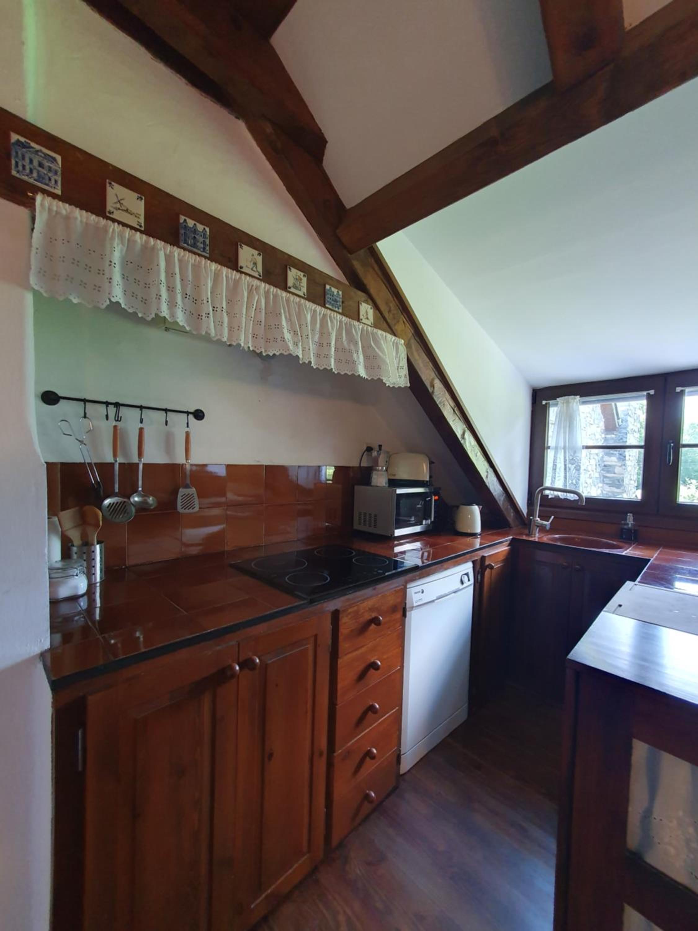 Acogedor apartamento de montaña con jardín y piscina - VU-HUESCA-23-182