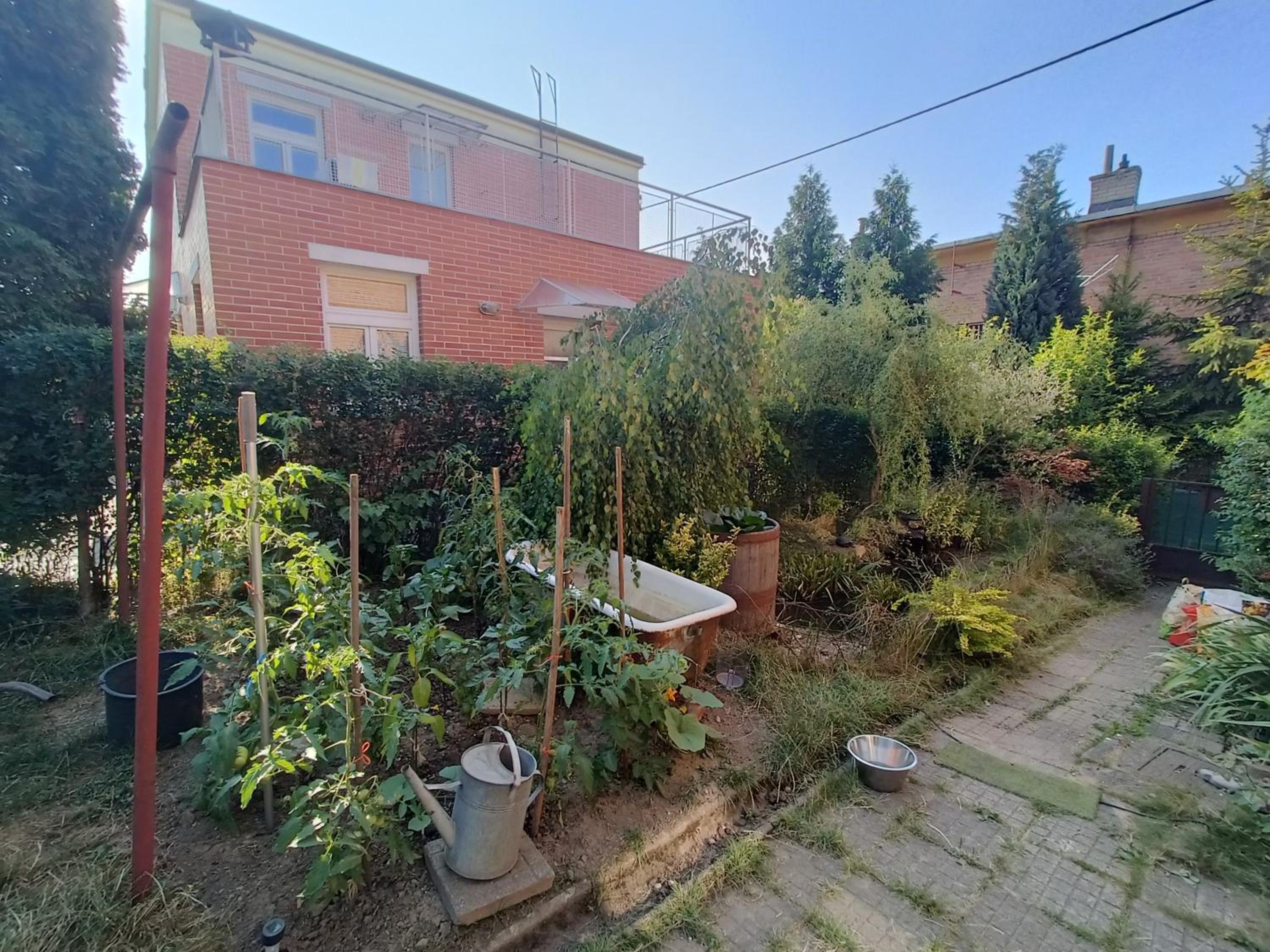 EN Homestay with private top floor, 3 bedrooms, bathroom, kitchenette, host stays downstairs with a cat and 2 small dogs --- CS Soukromé horní patro, 3 lož