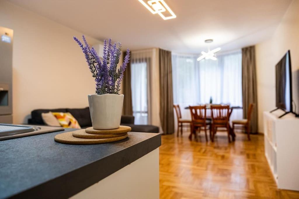 Varna Central 2bdrm Apartment