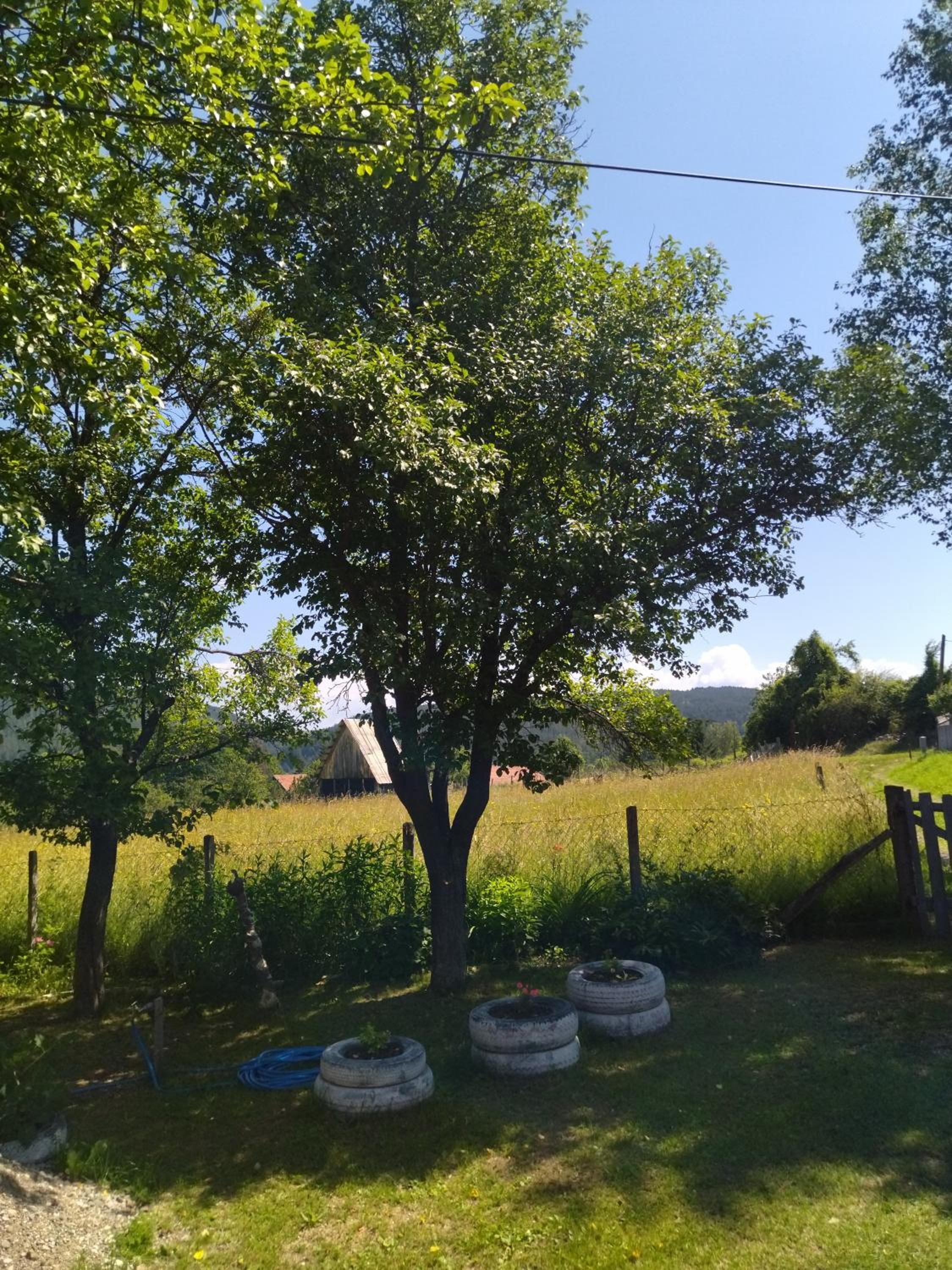 Rada smeštaj view 4