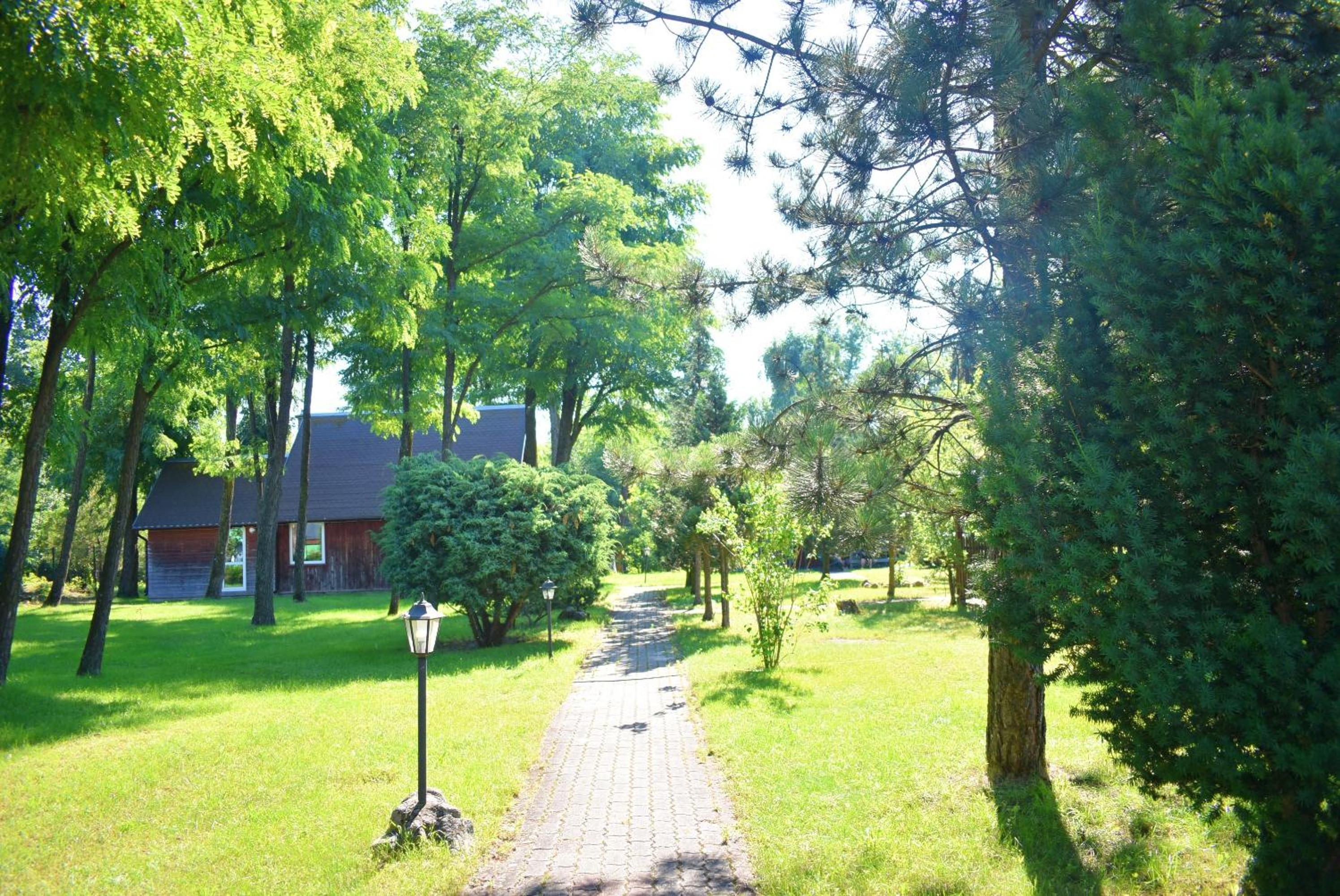 Center Angelos