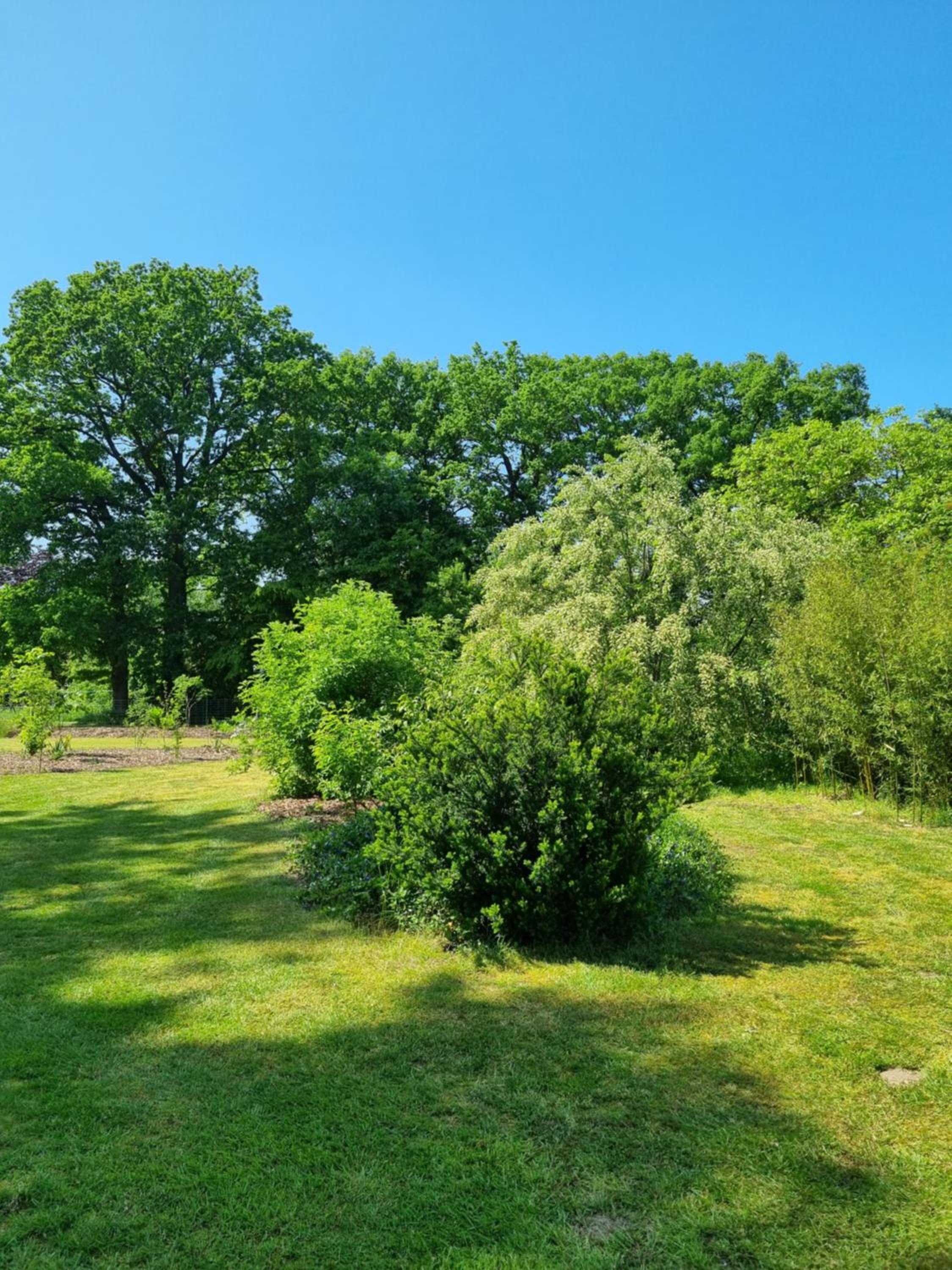 Pension Zum Burgwächter