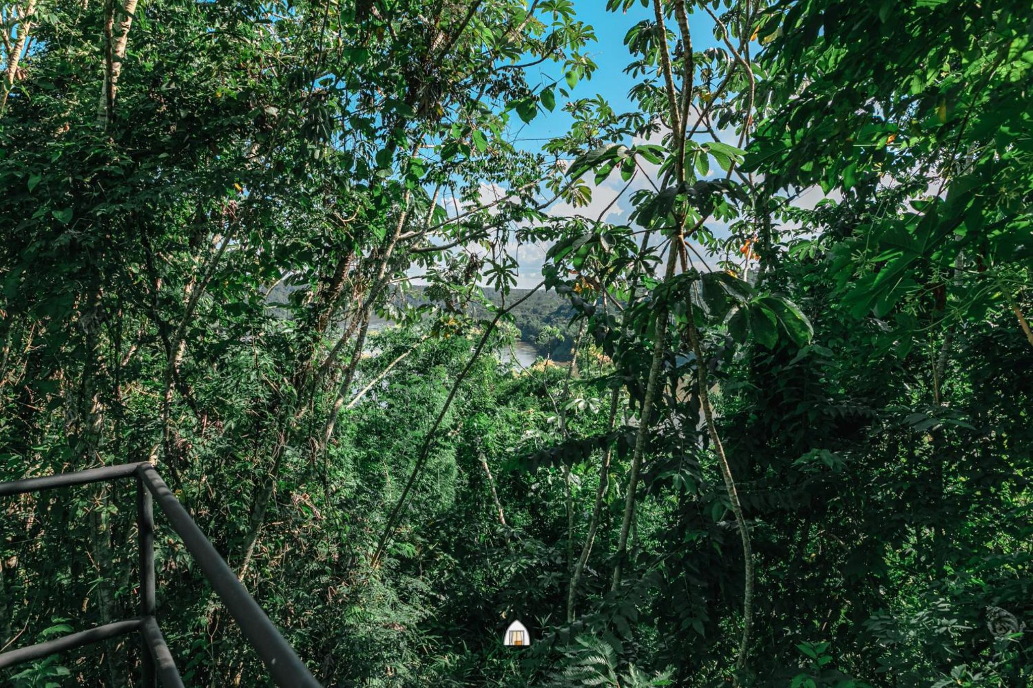 GLAMPING SELVA IGUAZU