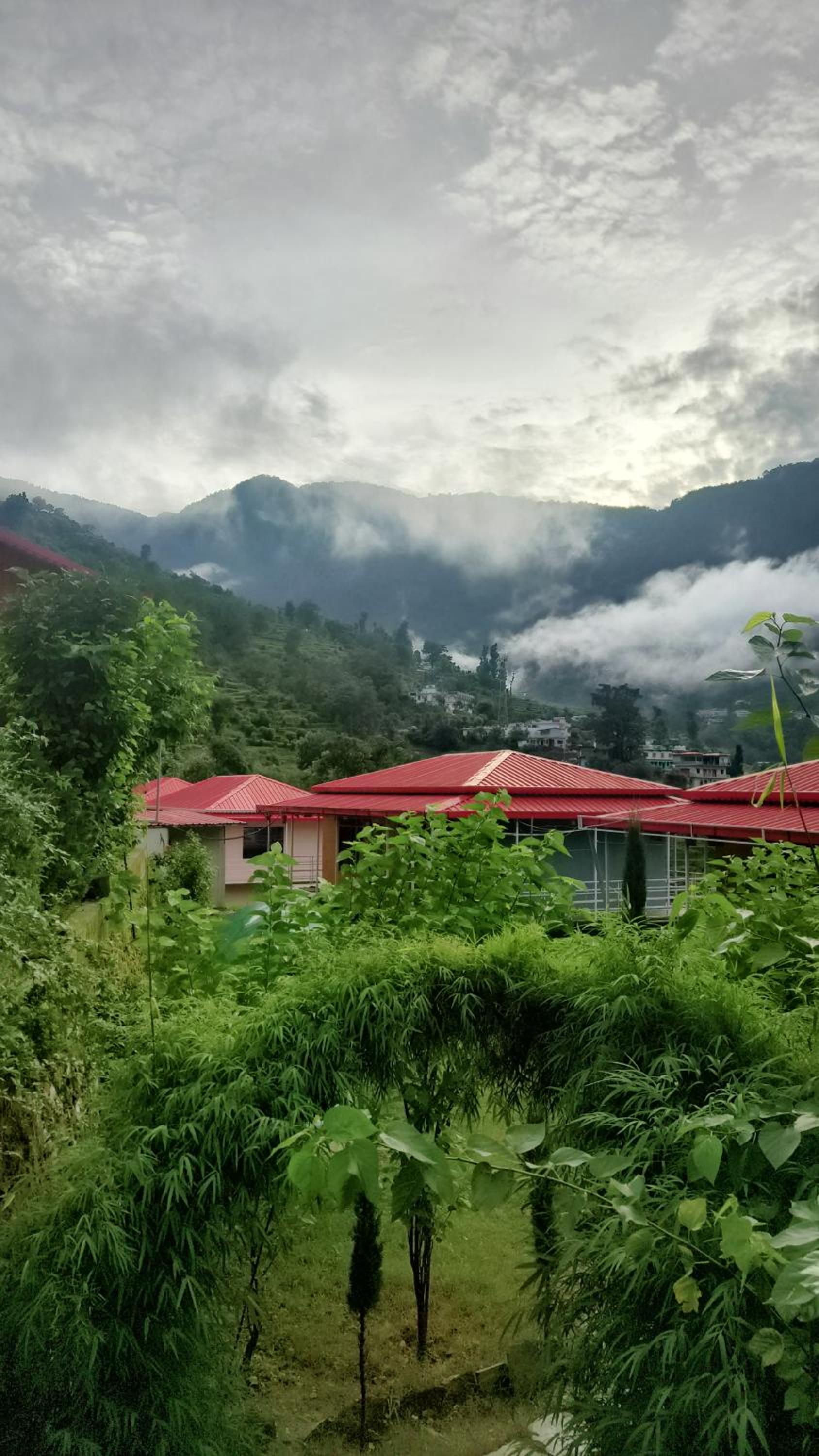 Vatika bliss view 4