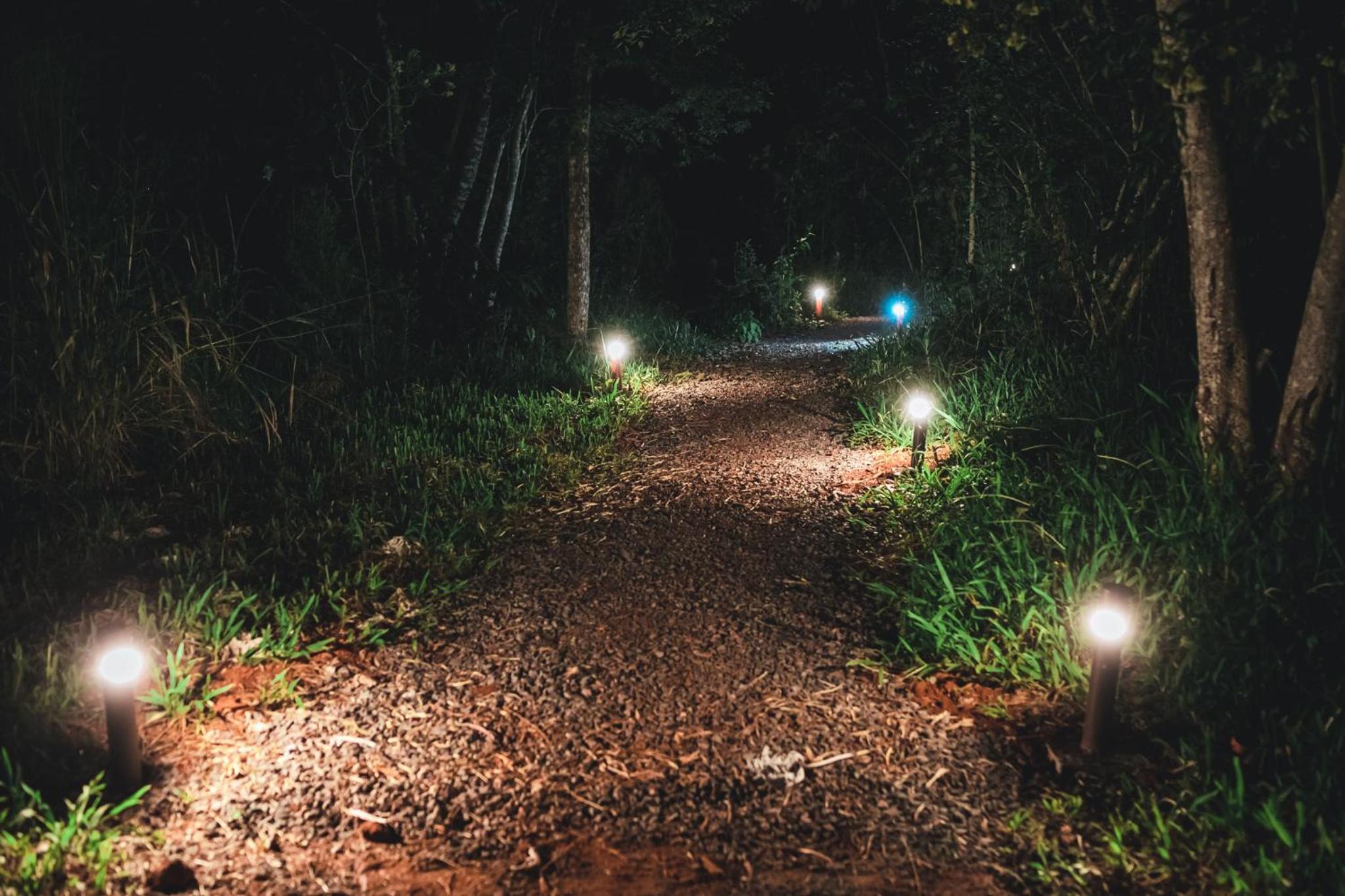 GLAMPING SELVA IGUAZU
