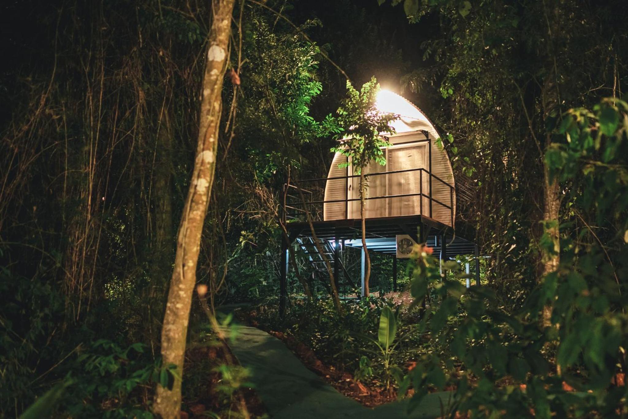GLAMPING SELVA IGUAZU