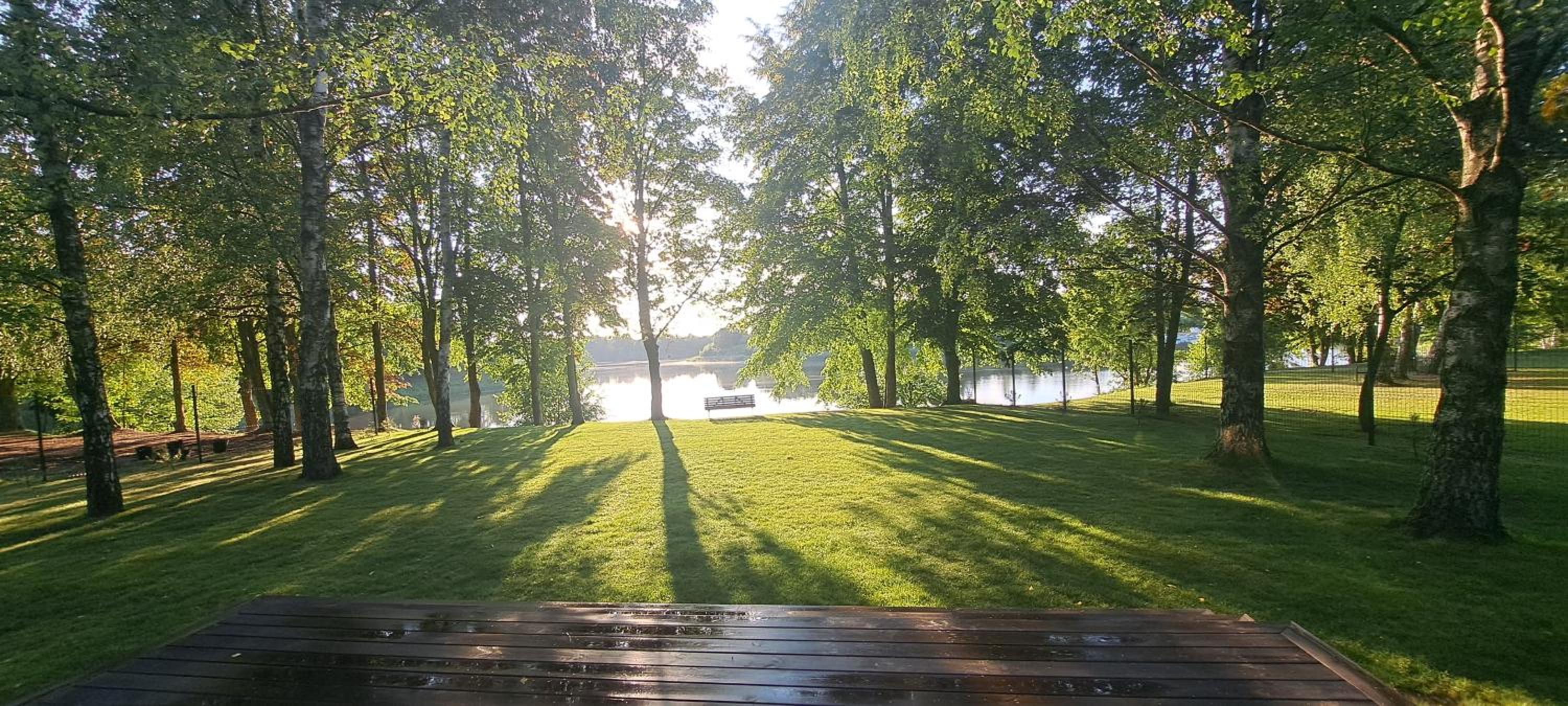 Namelis po beržais view 5