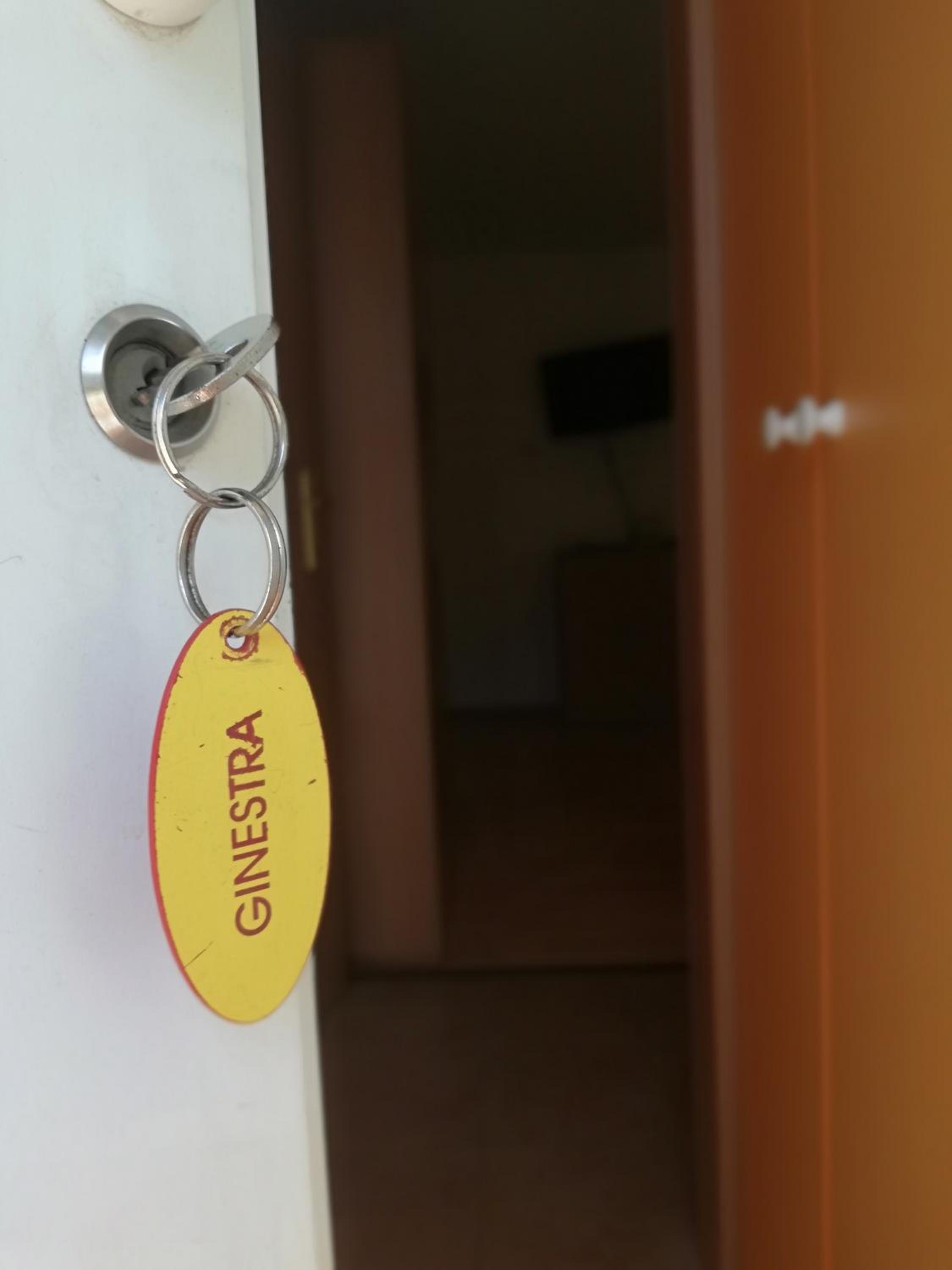 Apartma Brnistra Ginestra view 3