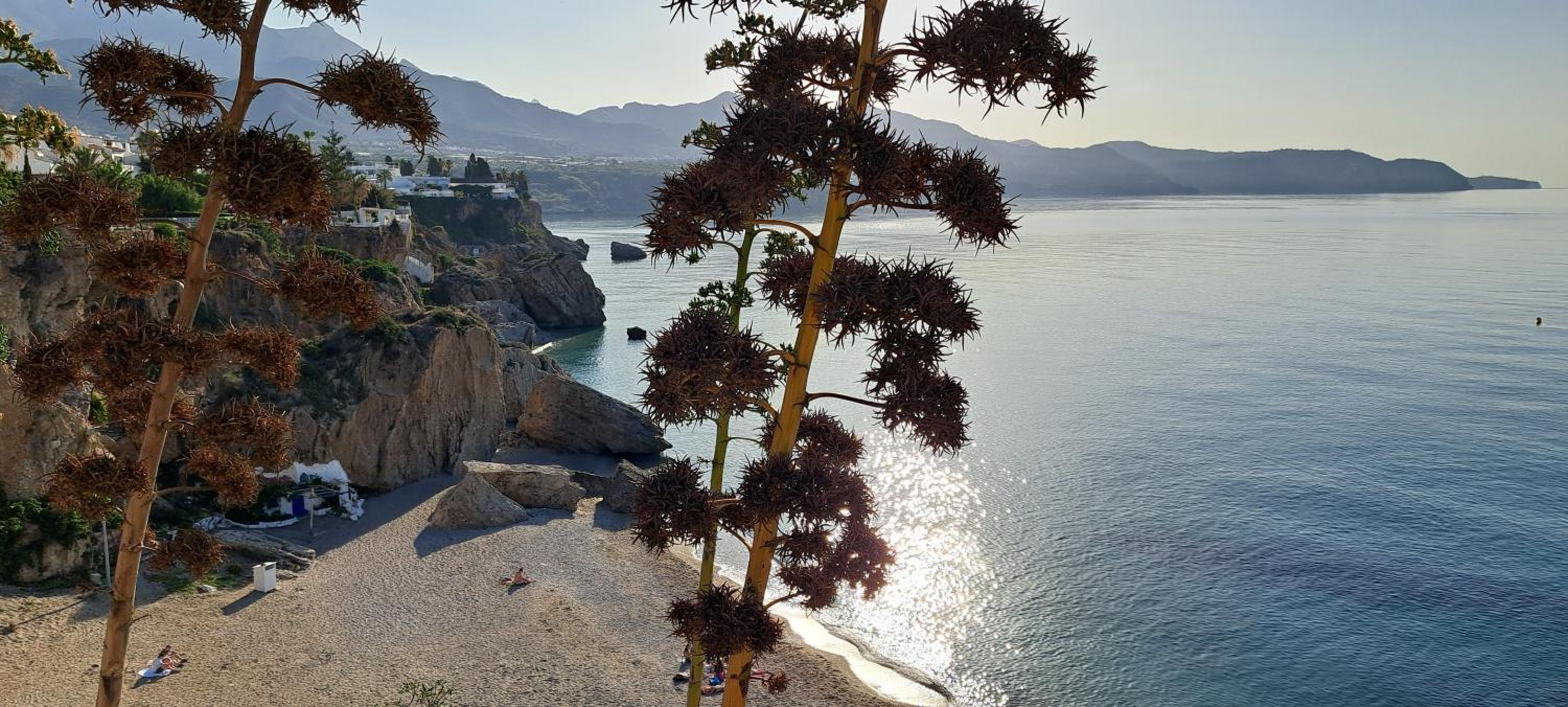Torresol Sea View