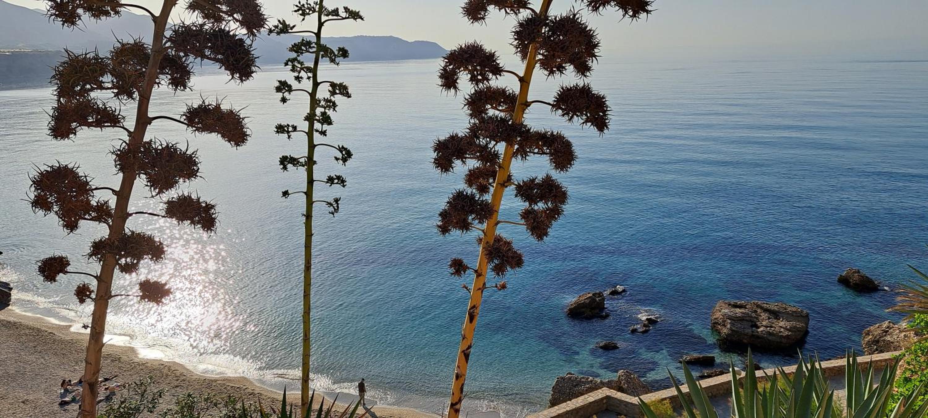 Torresol Sea View
