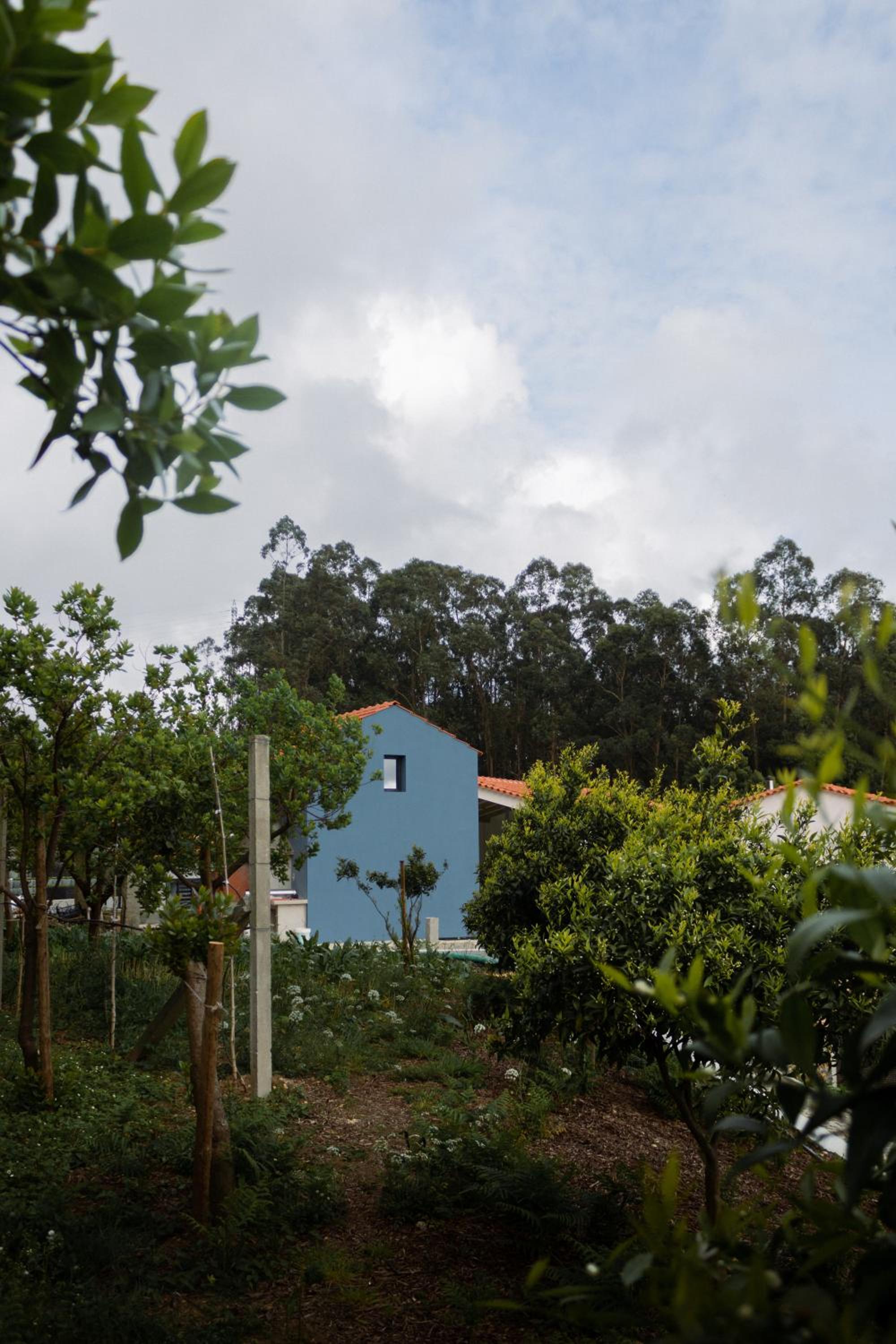 Casa da Milheira - Agroturismo view 2