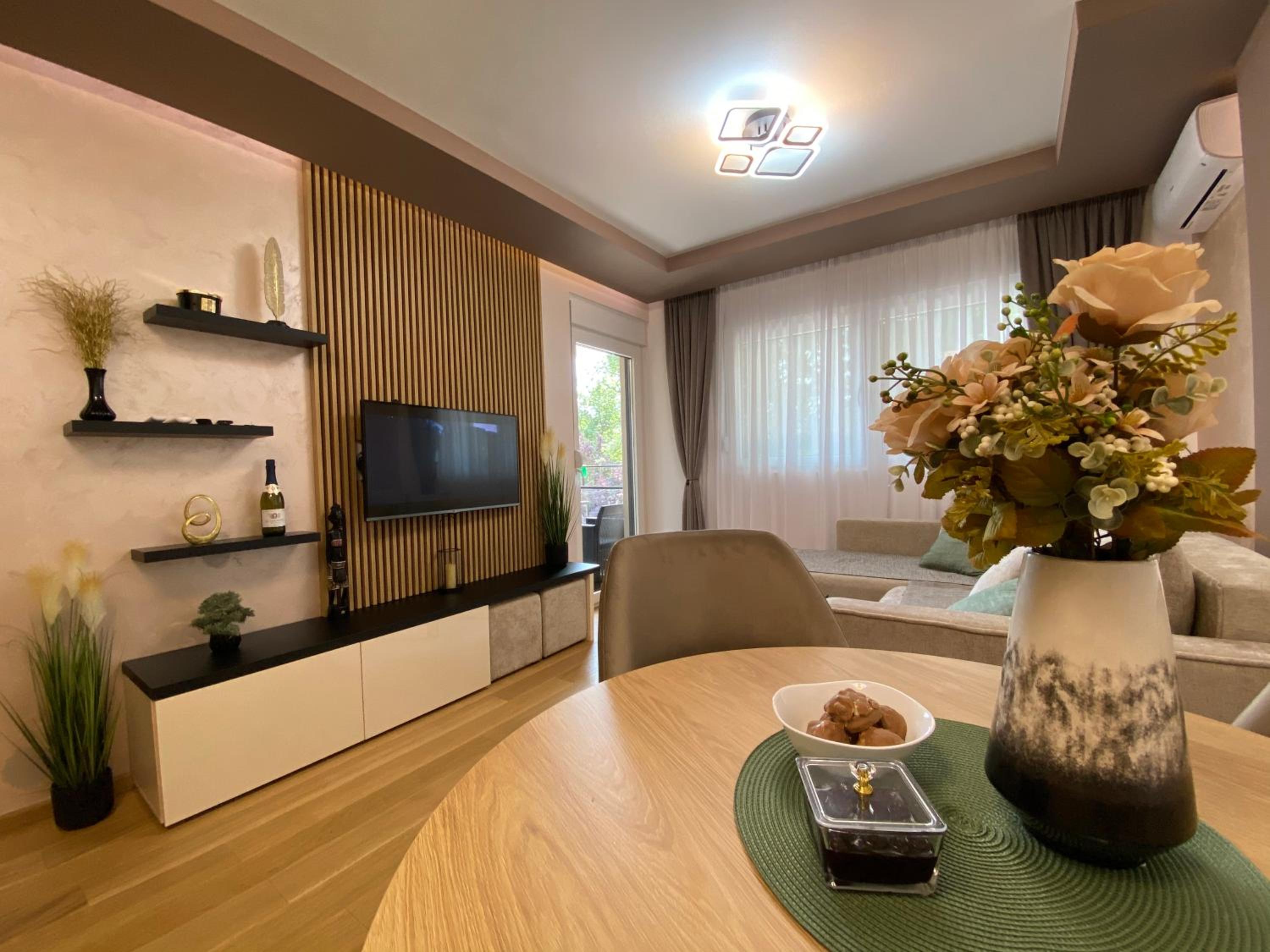 Soul Apartment Vrnjačka Banja