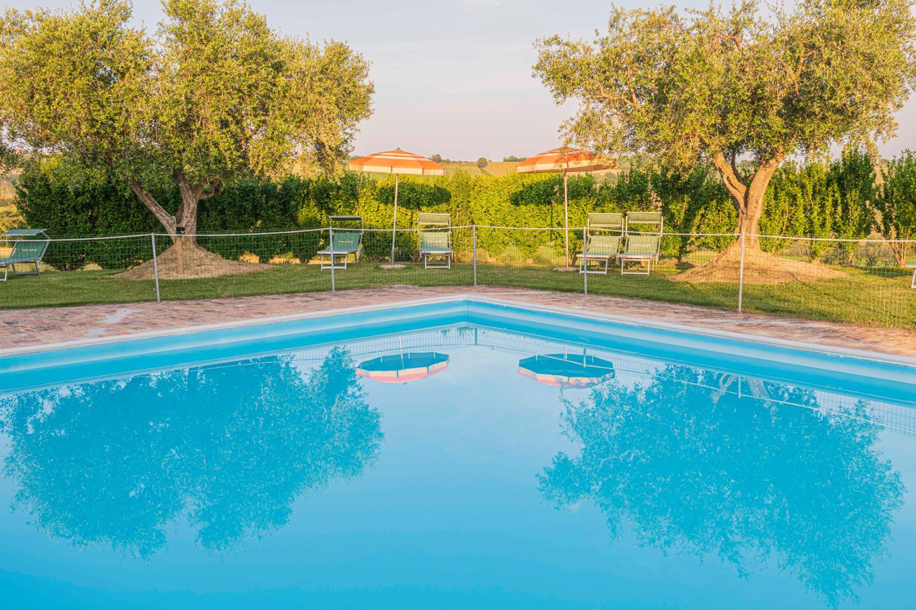 Photo 64