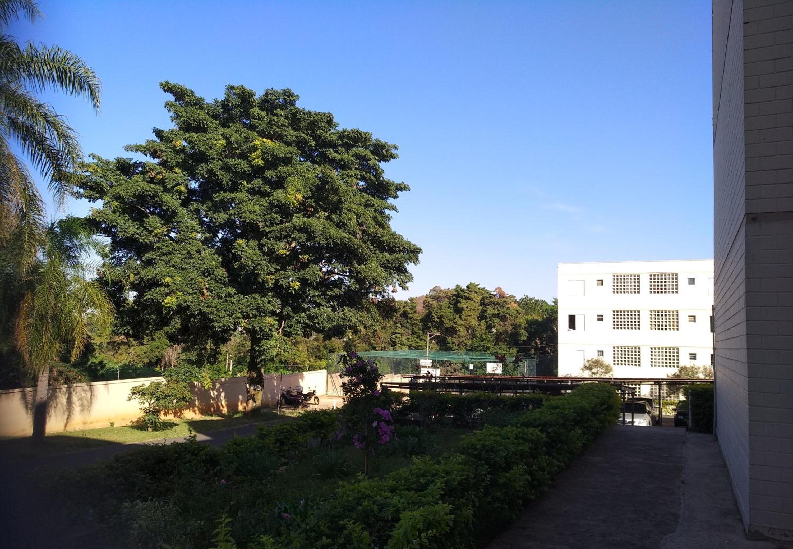 KOKIRA Apê