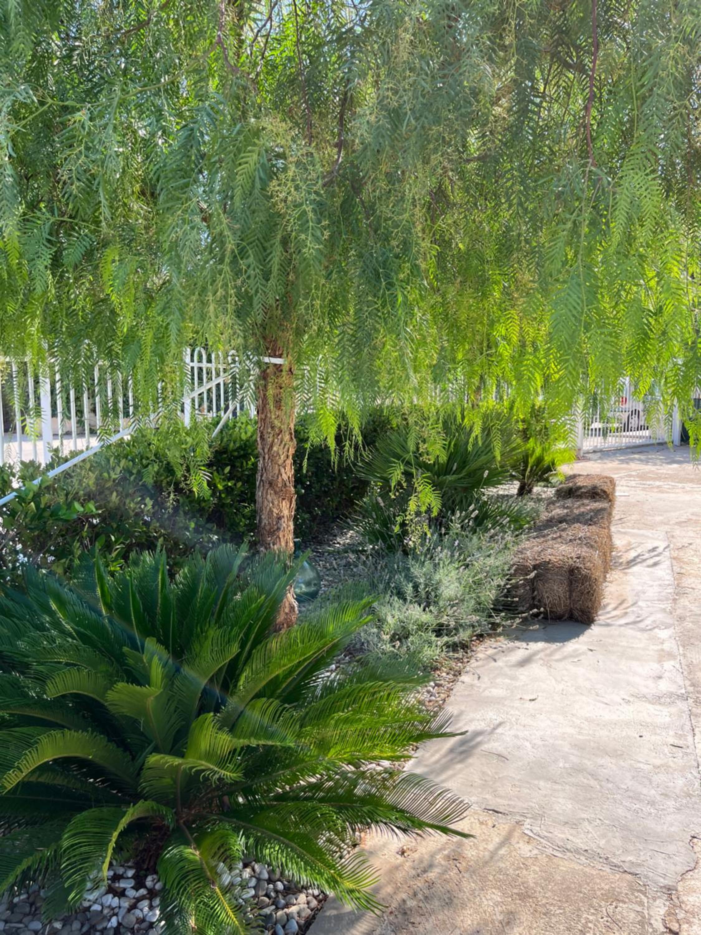 B&B L’ALTRAMURGIA photo 3