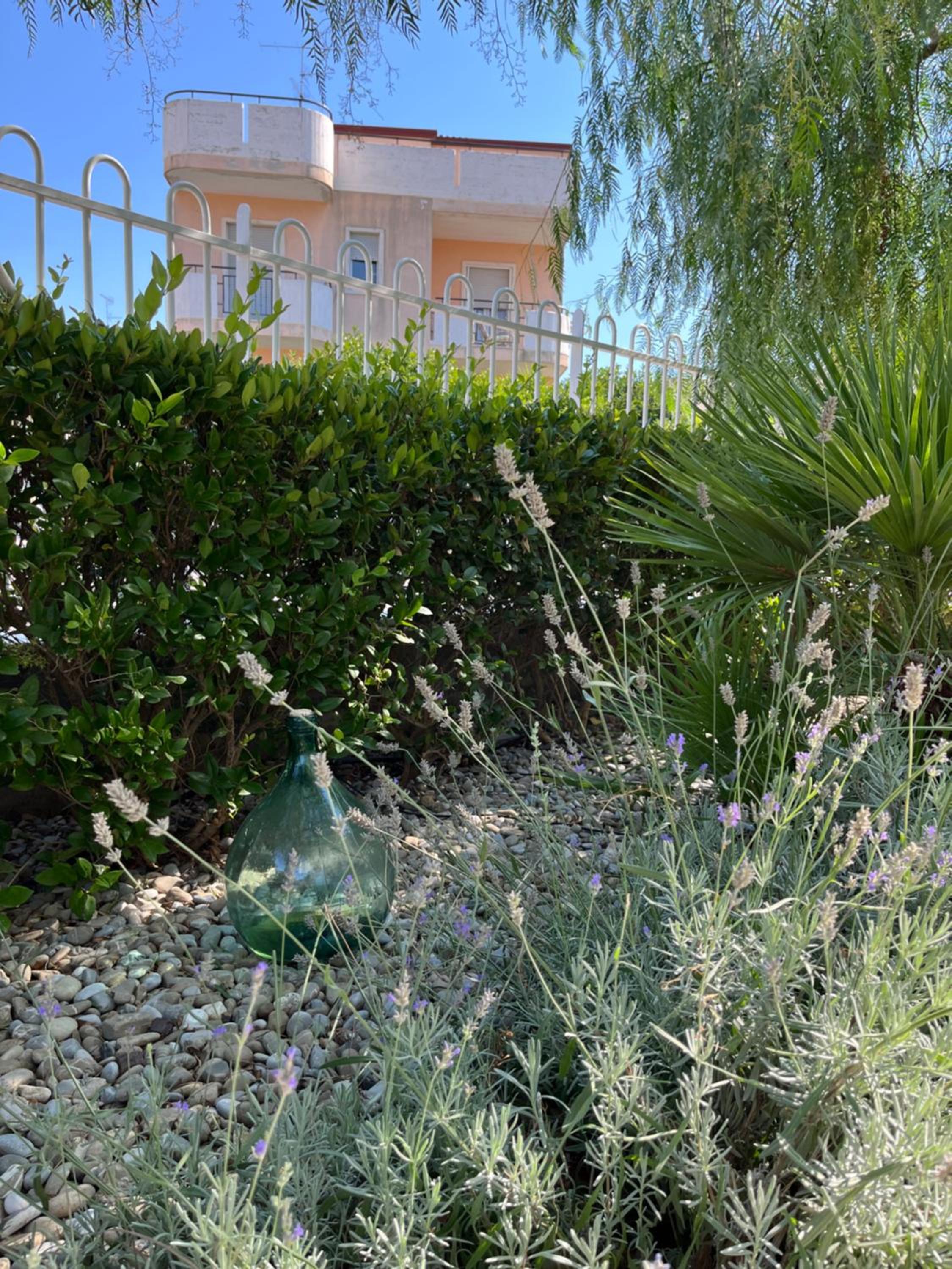 B&B L’ALTRAMURGIA photo 5