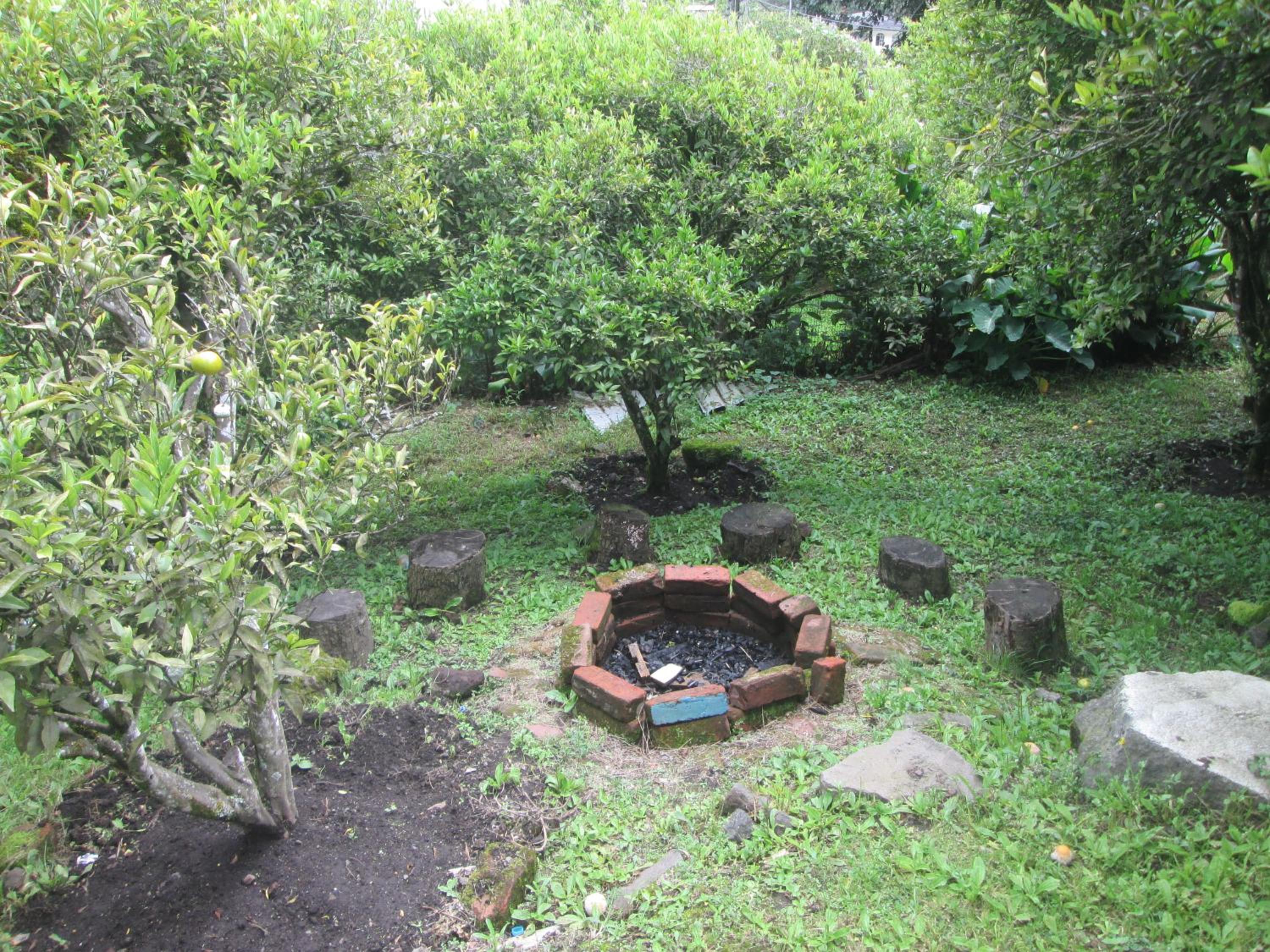 Photo 21