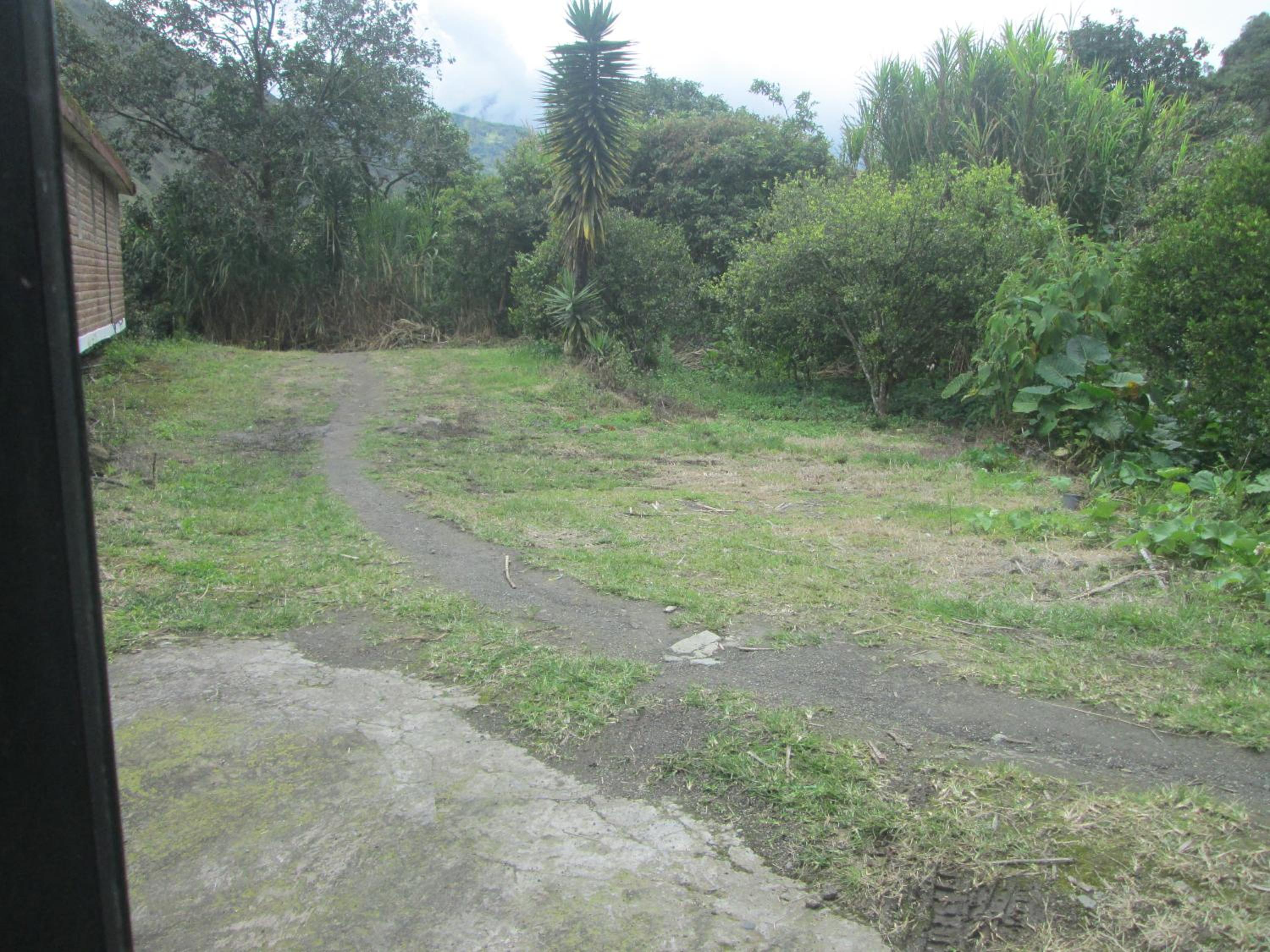 Photo 24