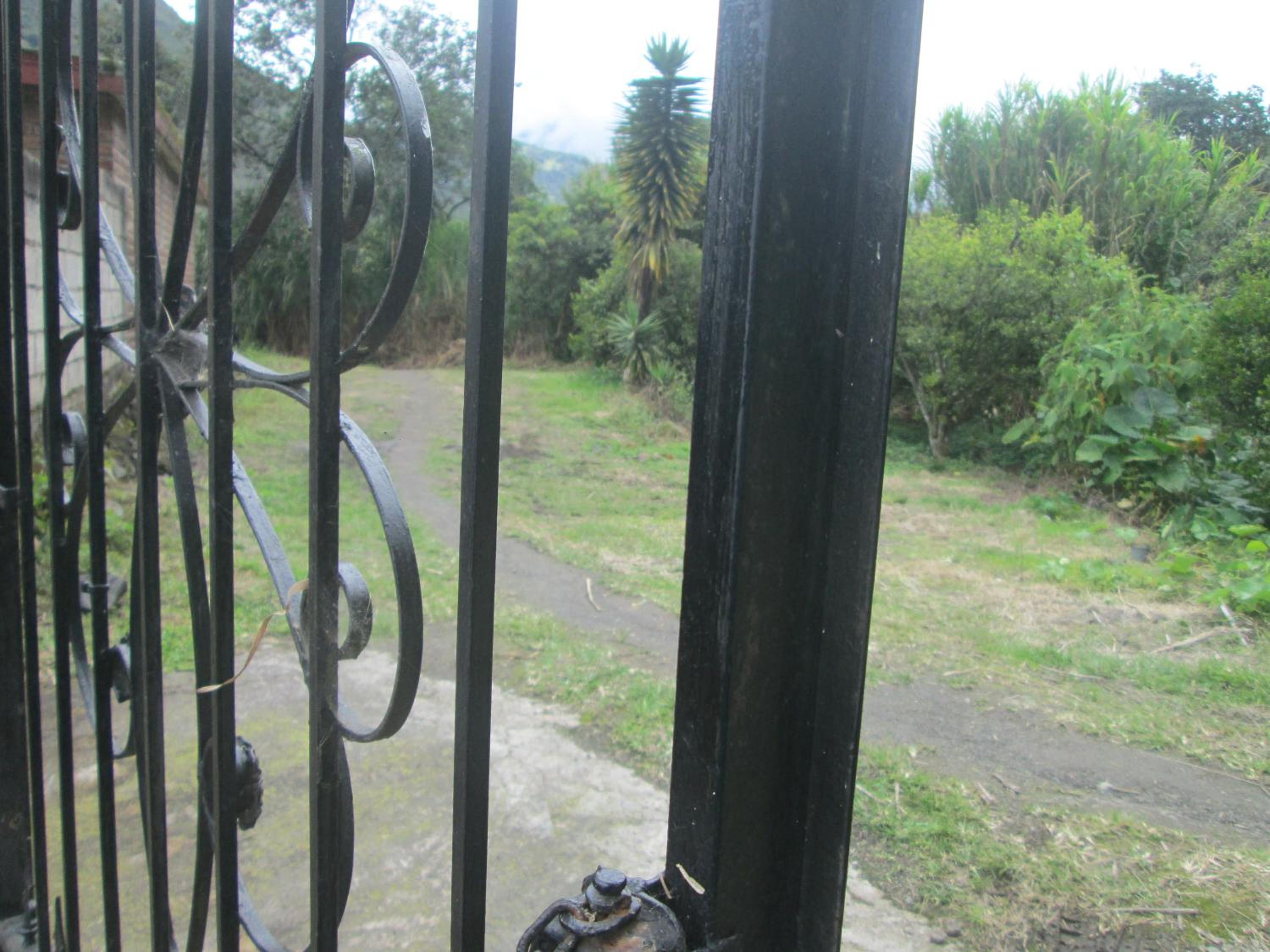 Photo 26