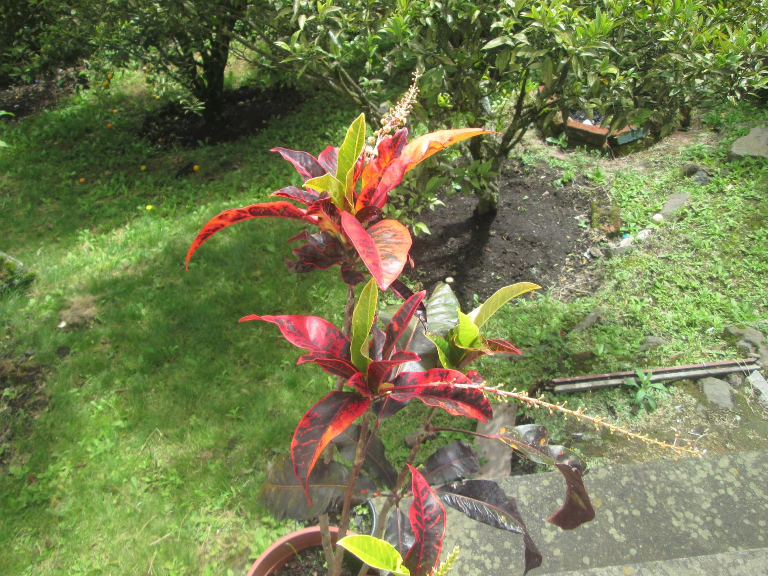 Photo 27