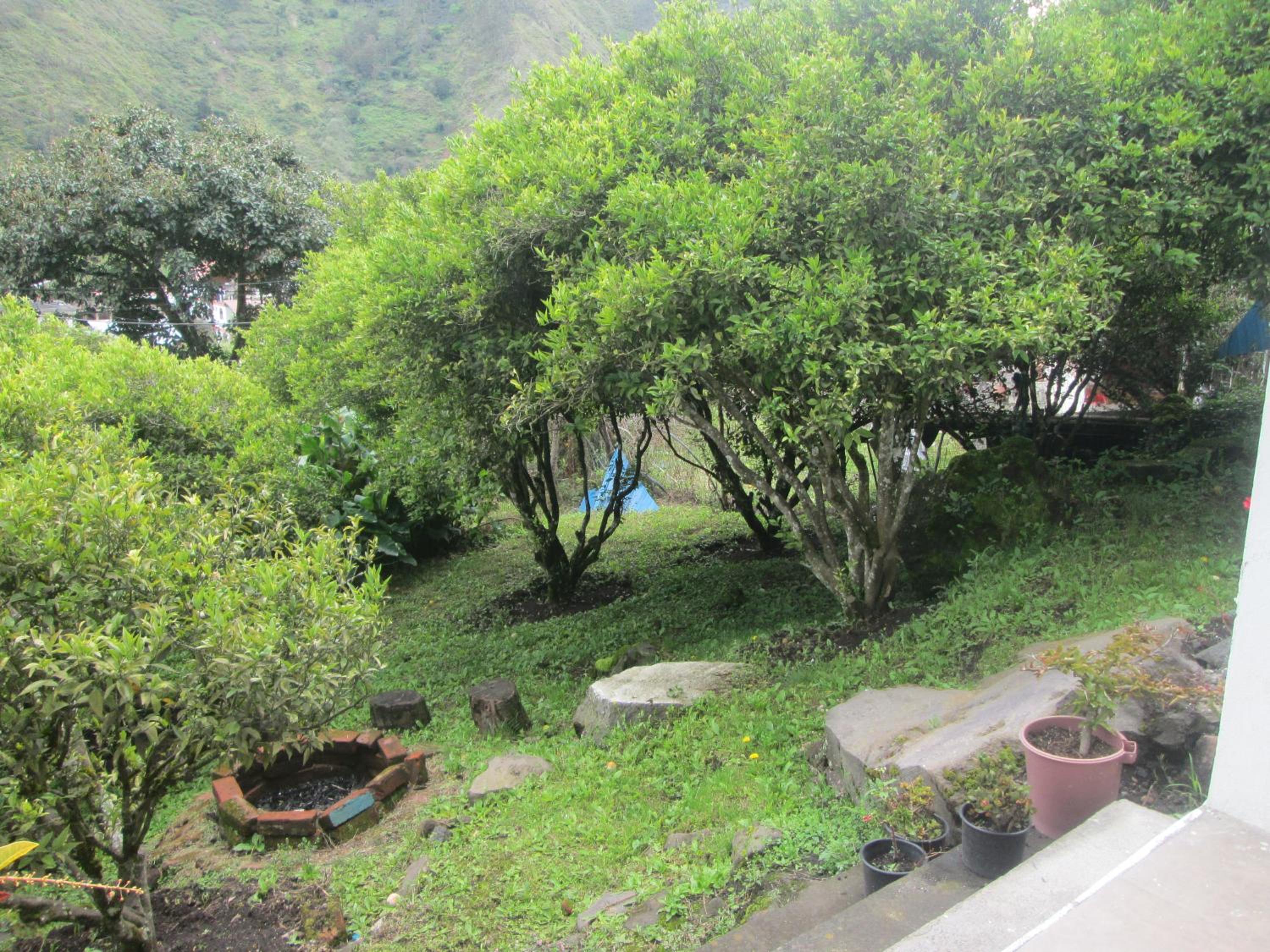 Photo 28
