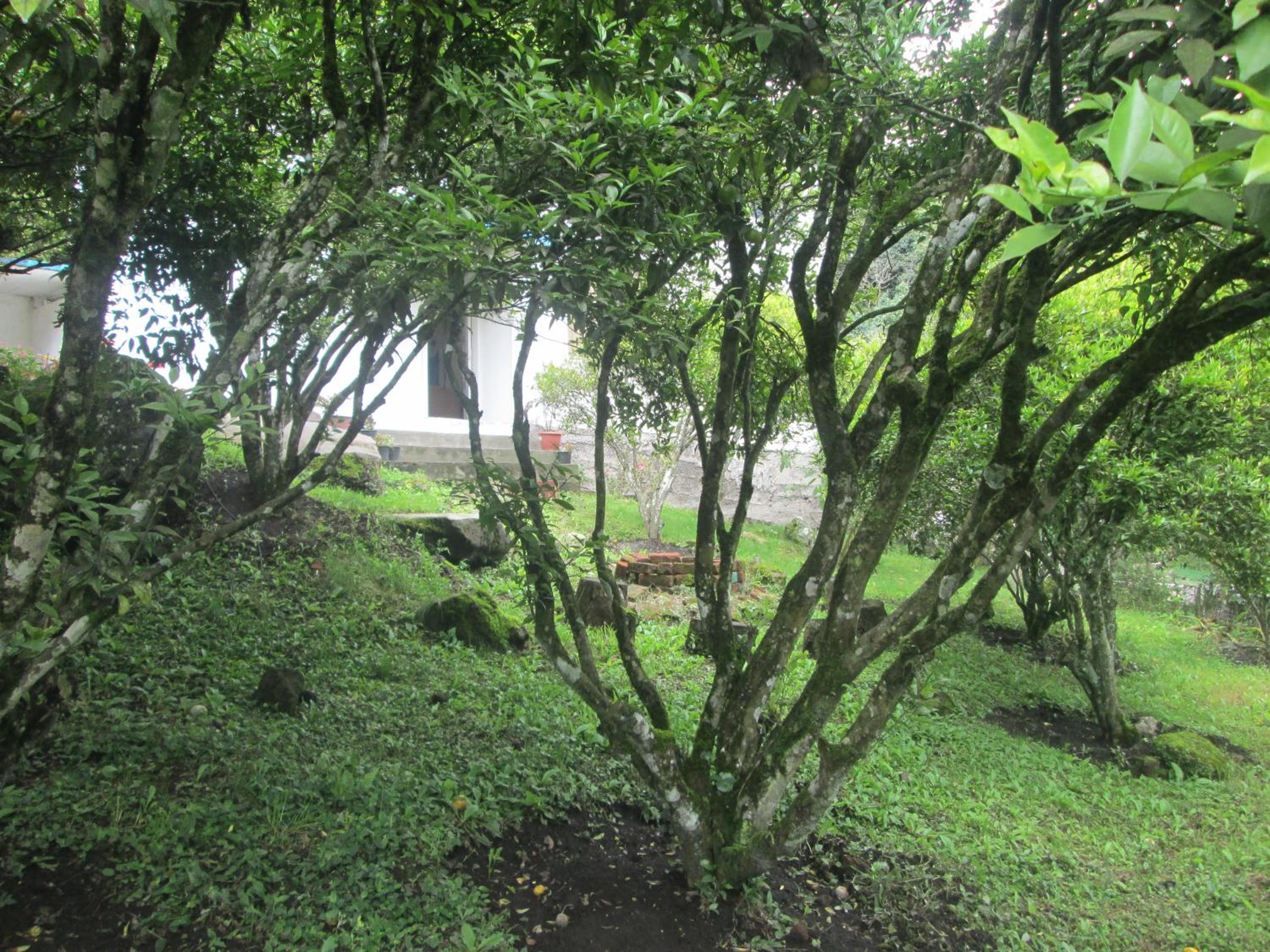 Photo 29