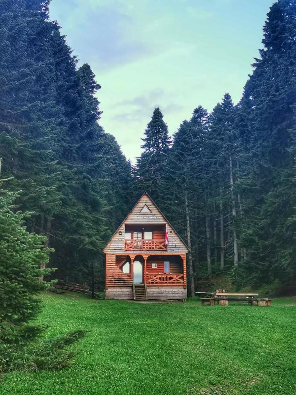 ხის სახლი