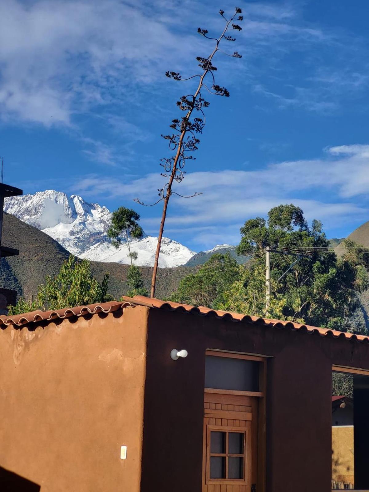 Vertigo Climbing Hostel